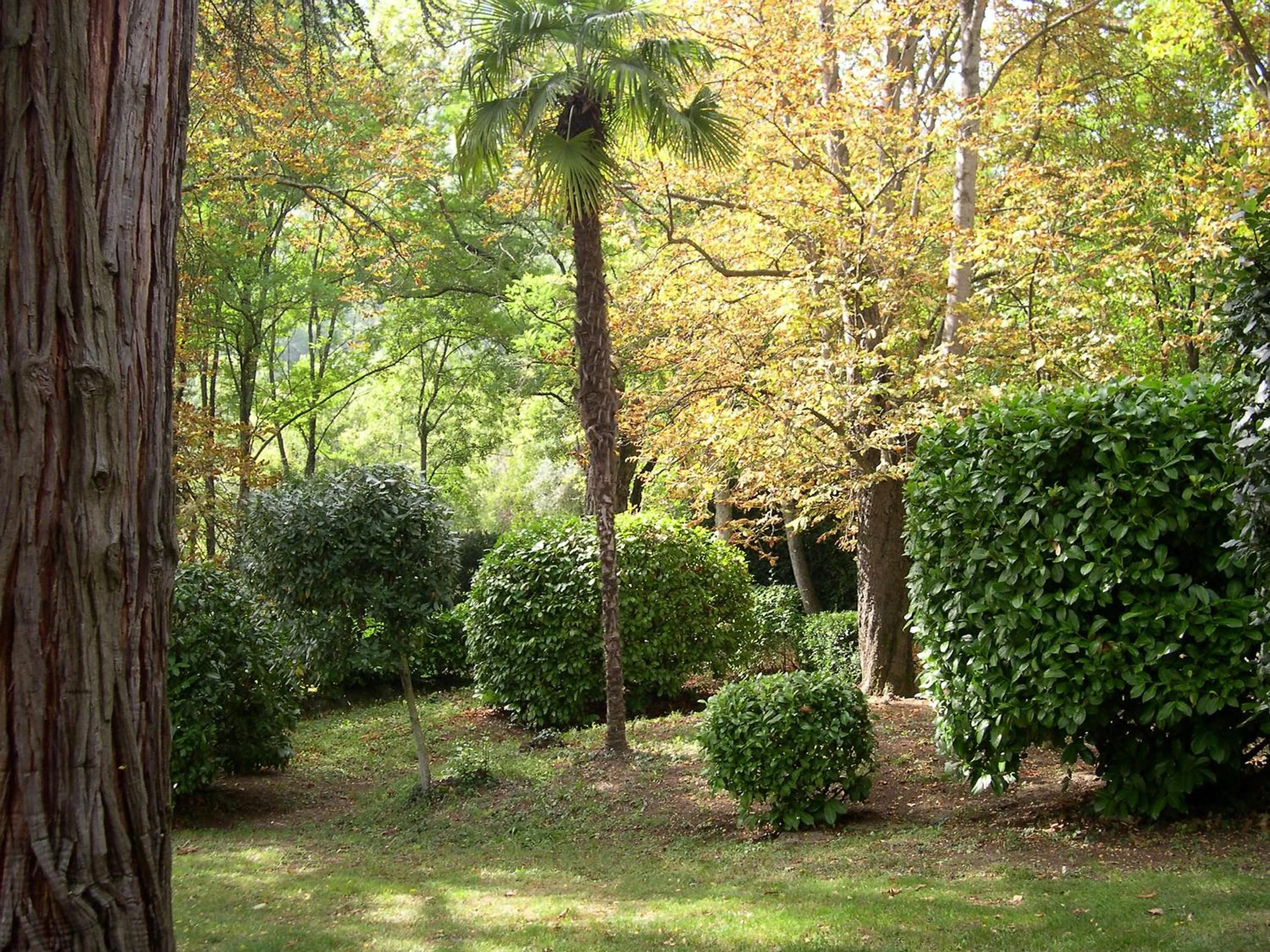 Garden in Domaine du Paraïs B&B