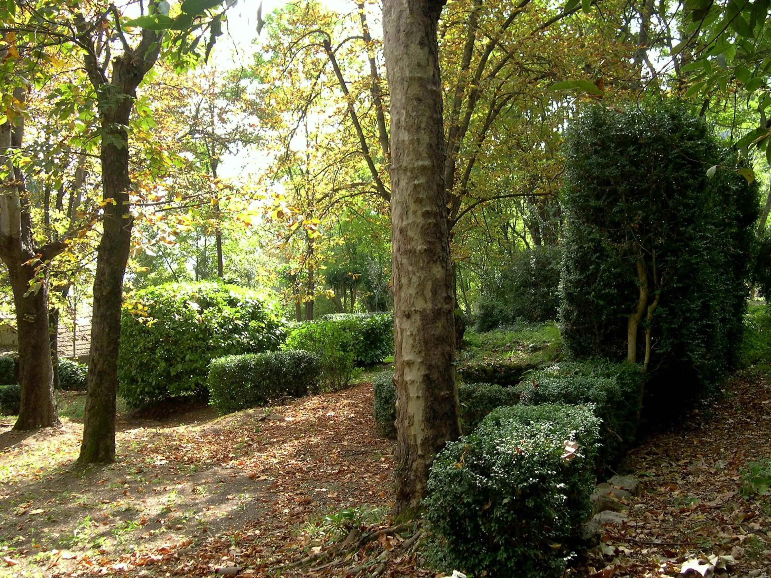 Garden in Domaine du Paraïs B&B