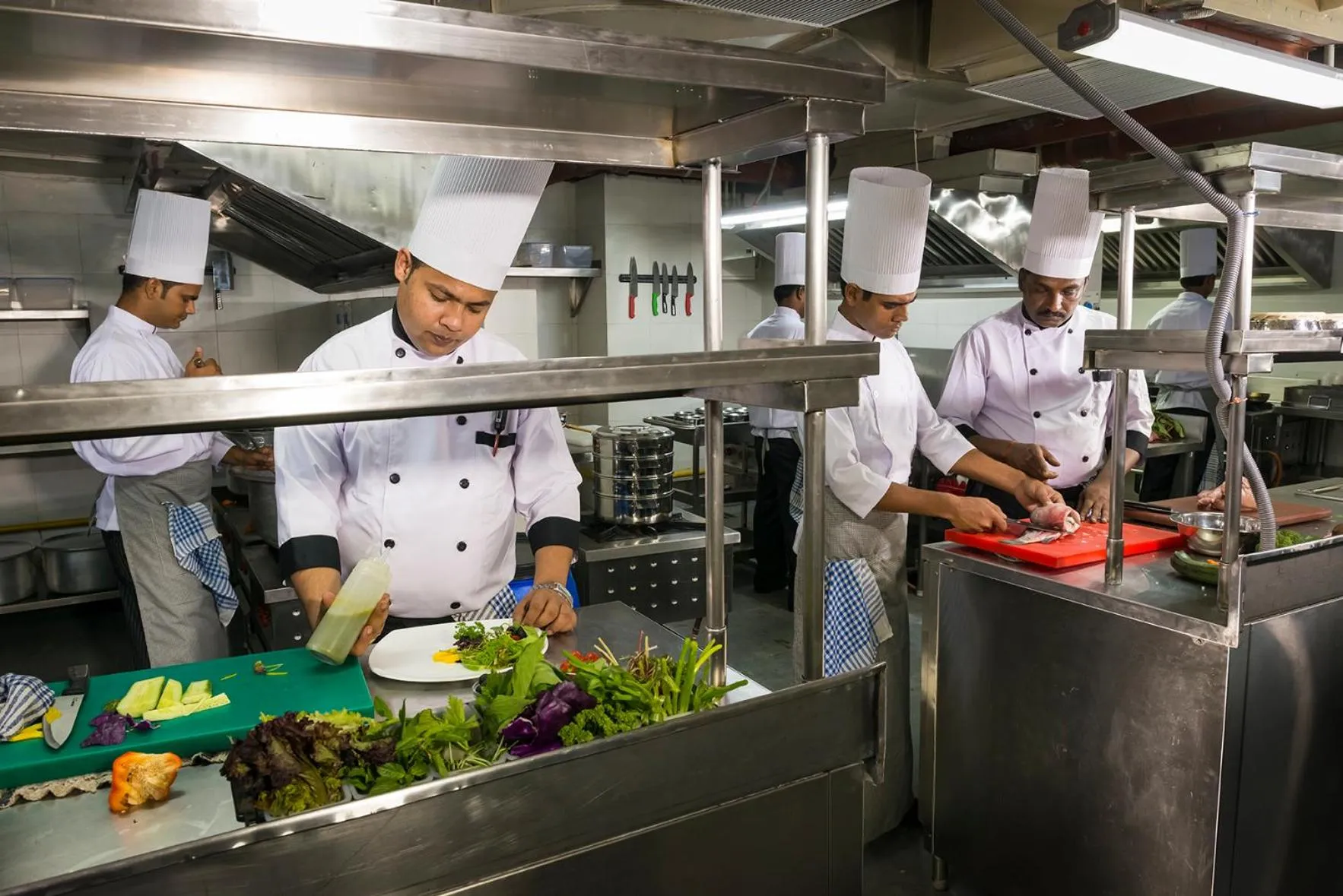 Area and facilities in Sonotel Hotels & Resorts Pvt Ltd