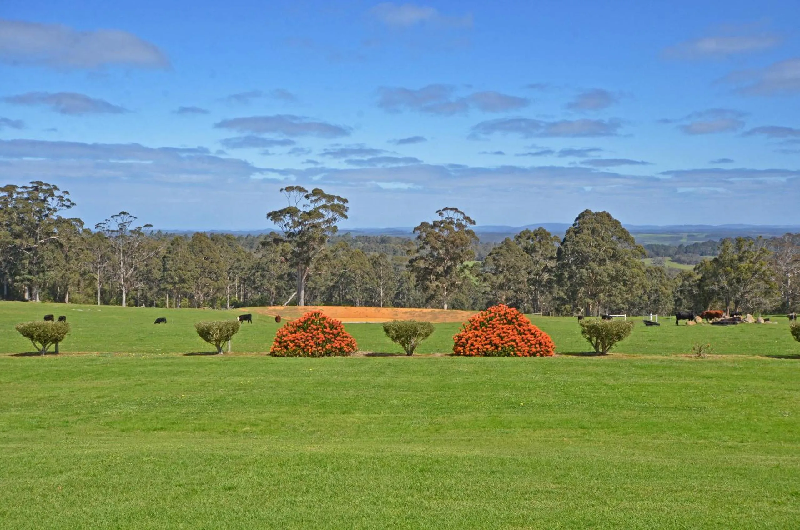 View (from property/room) in Sensational Heights Bed & Breakfast