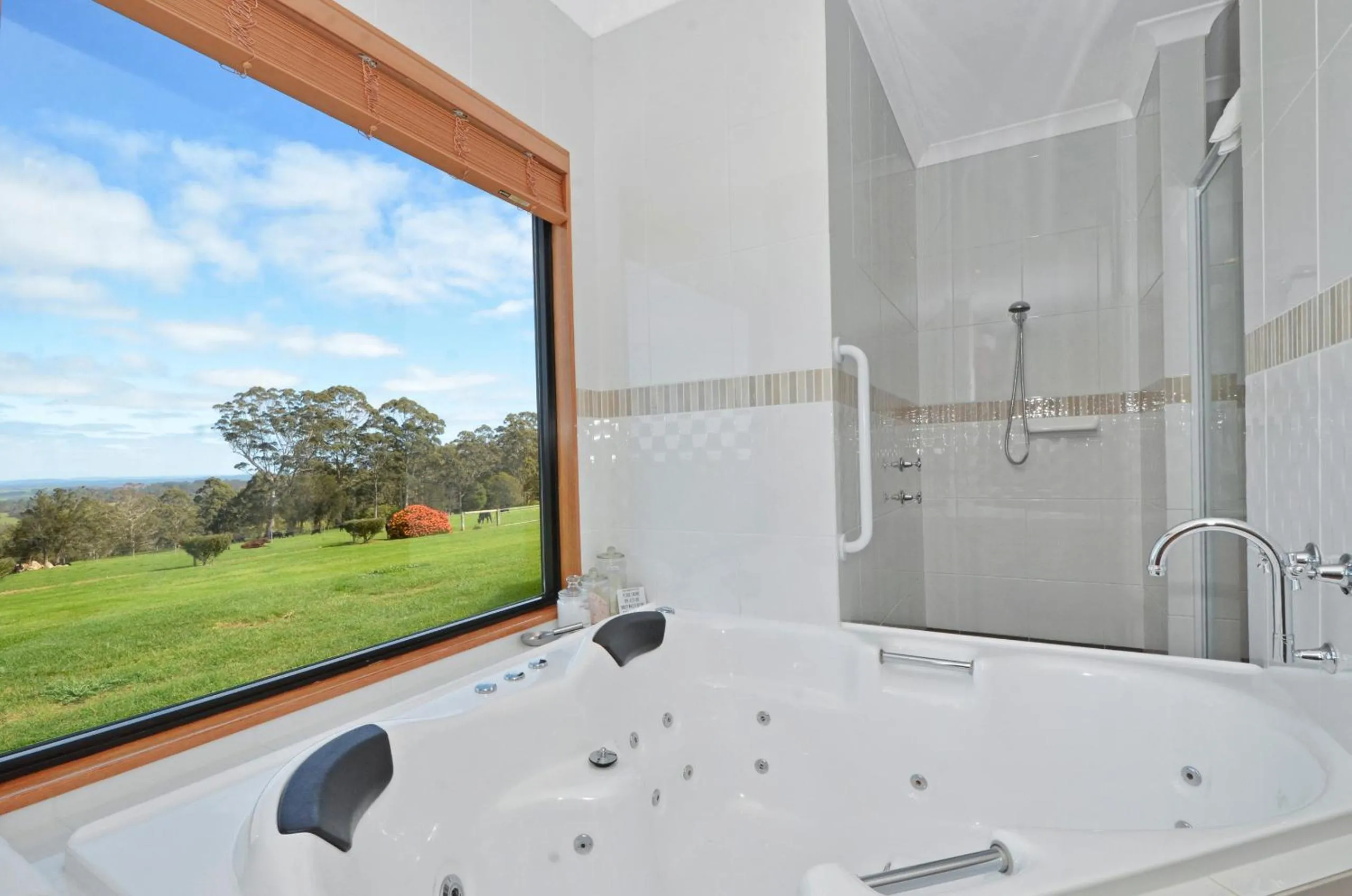 Shower in Sensational Heights Bed & Breakfast