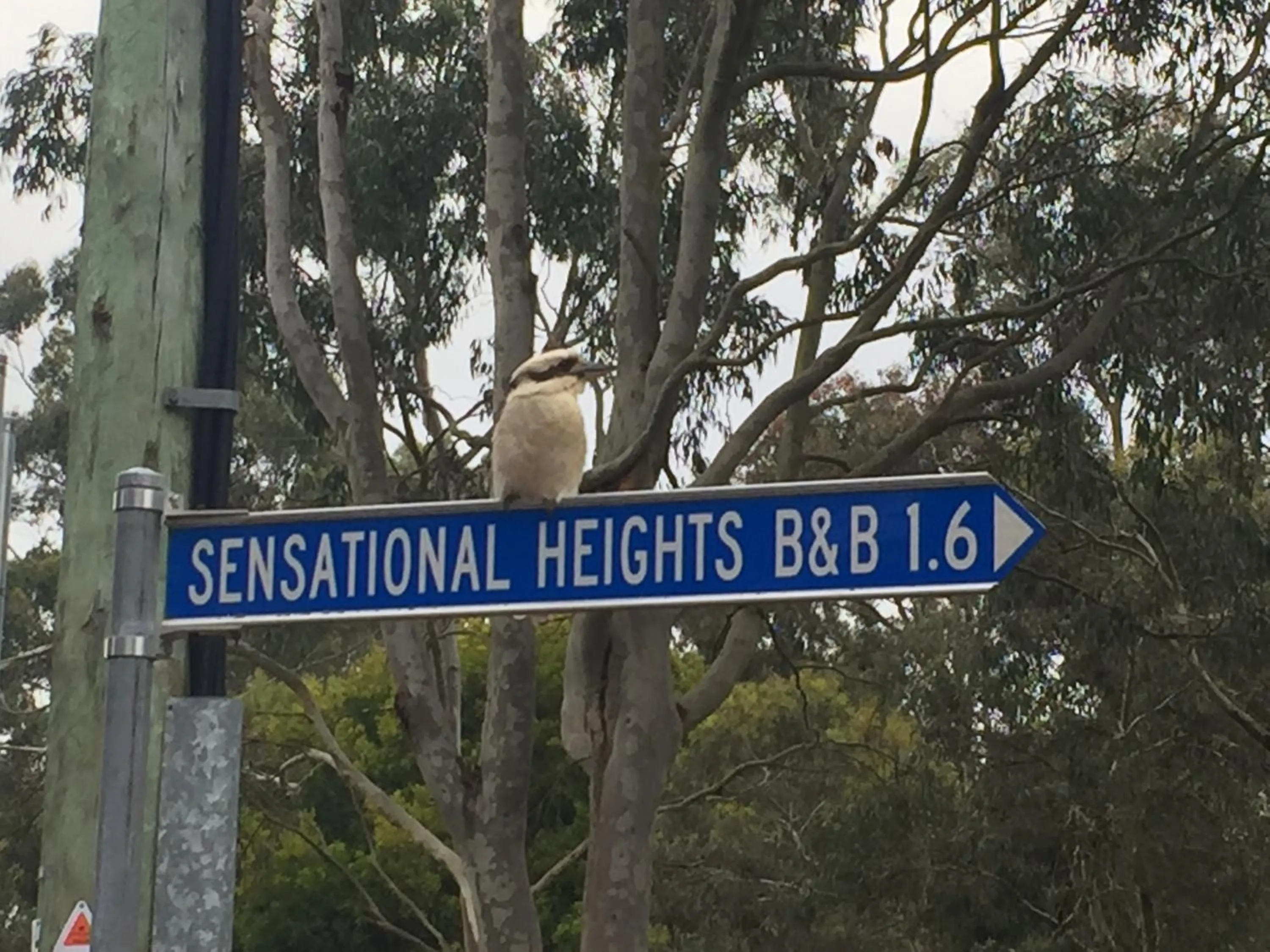 Property logo or sign in Sensational Heights Bed & Breakfast