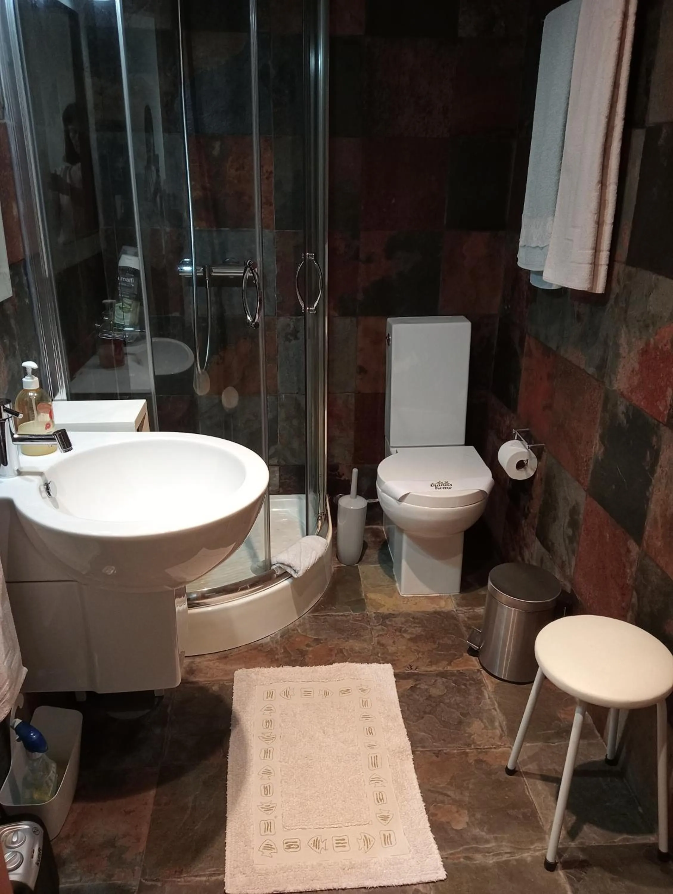 Toilet in VianasHome