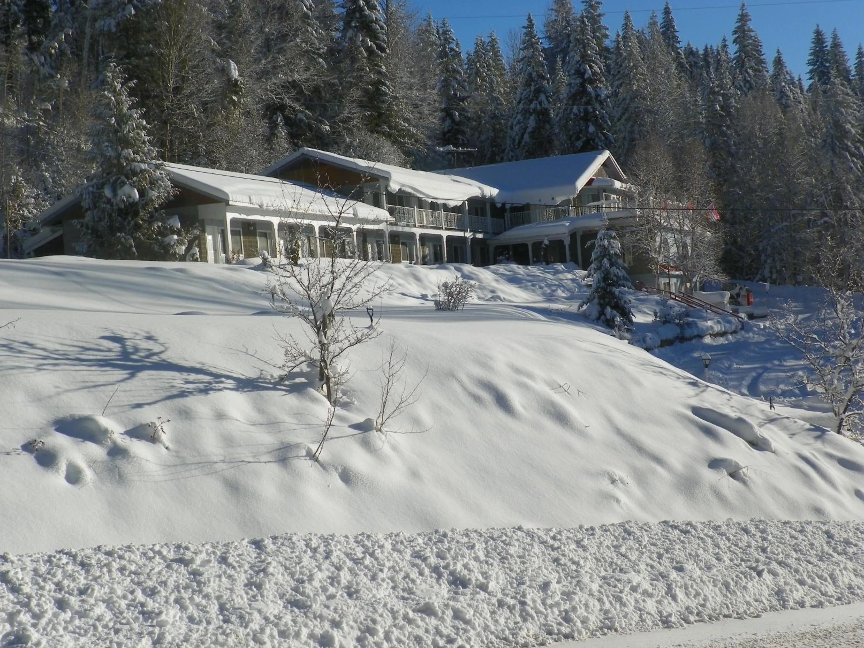Street view, Winter in High Country Inn