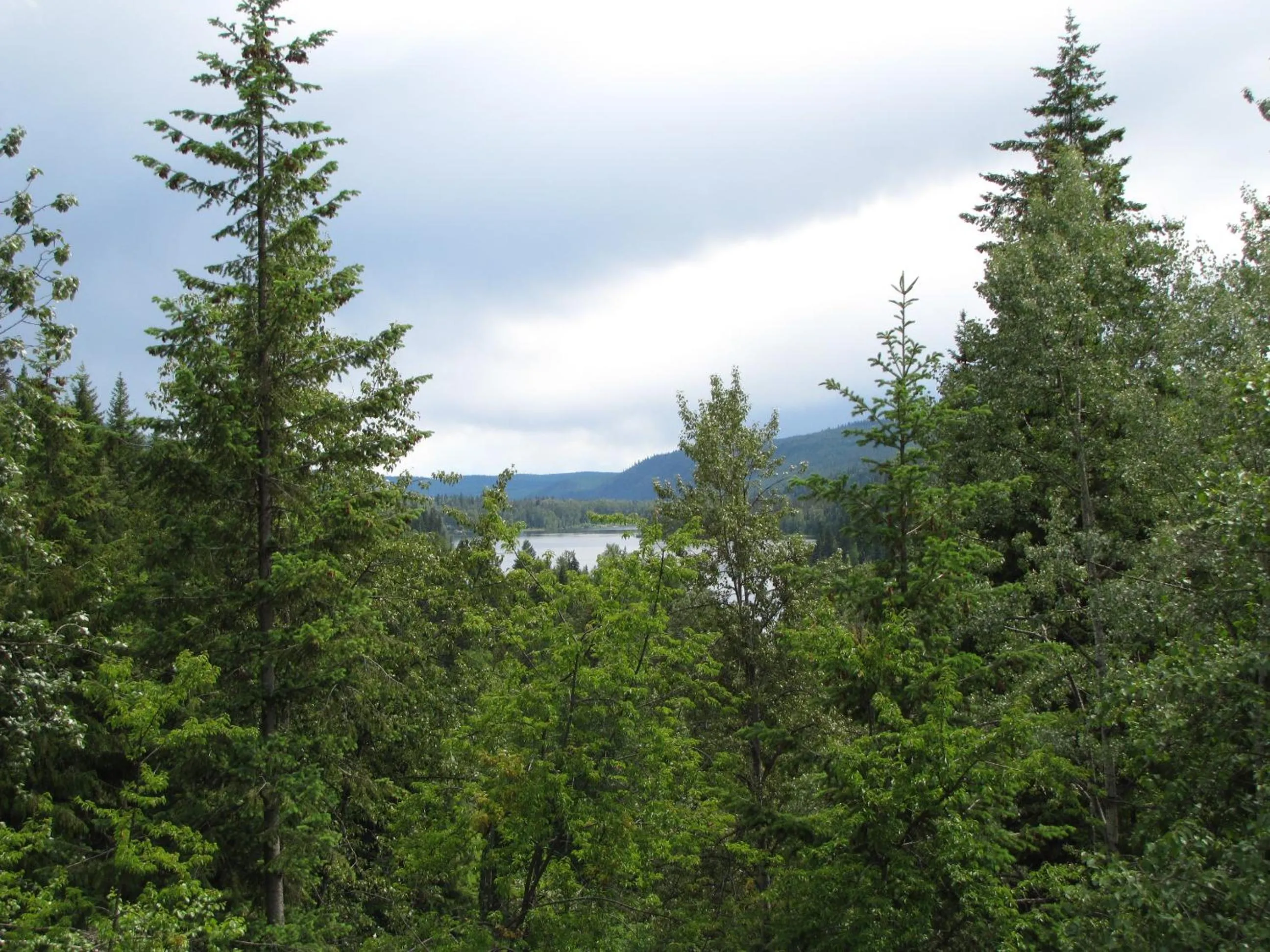 Natural landscape in High Country Inn