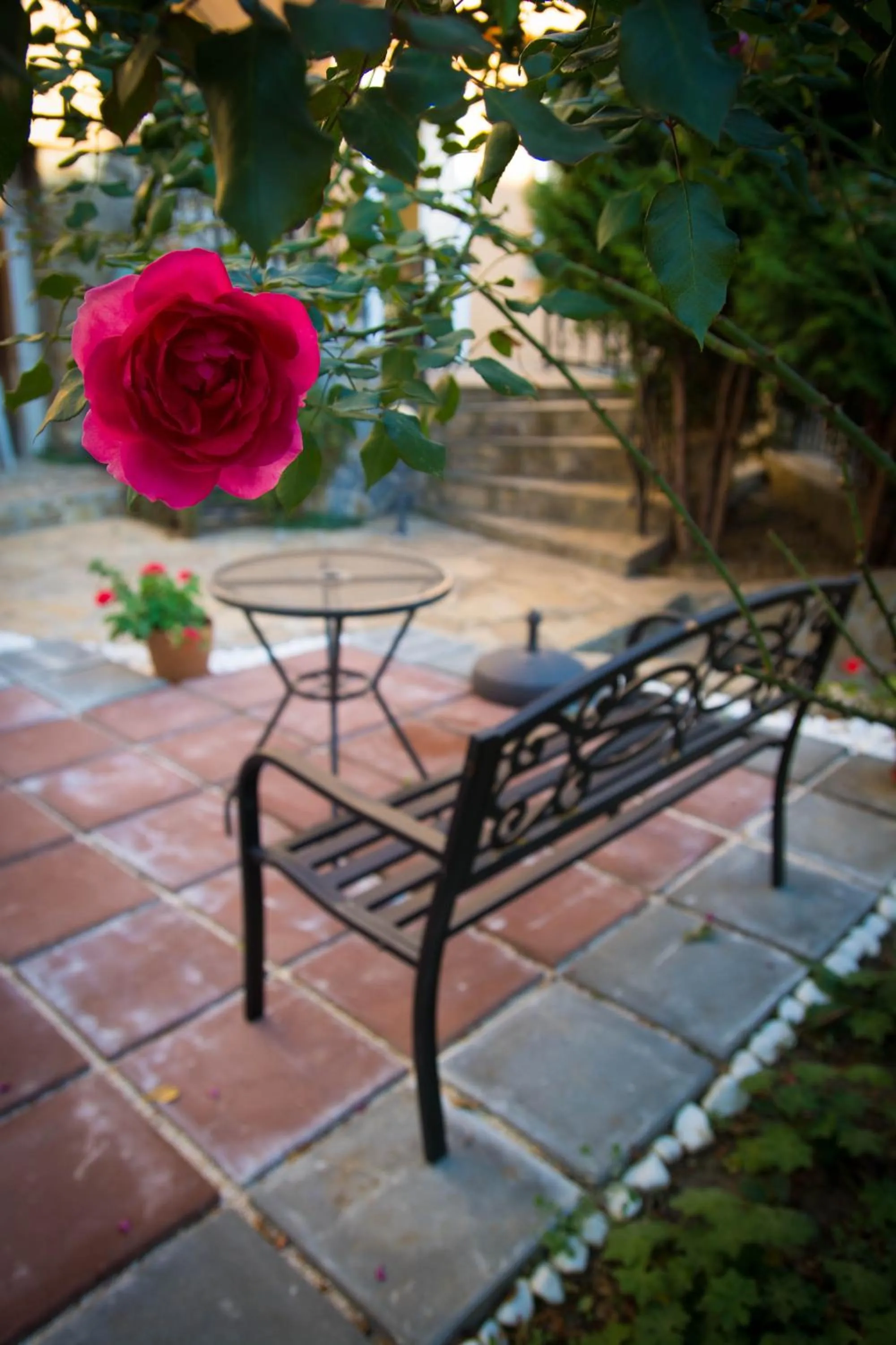 Garden in Tarnava - Oldtown House