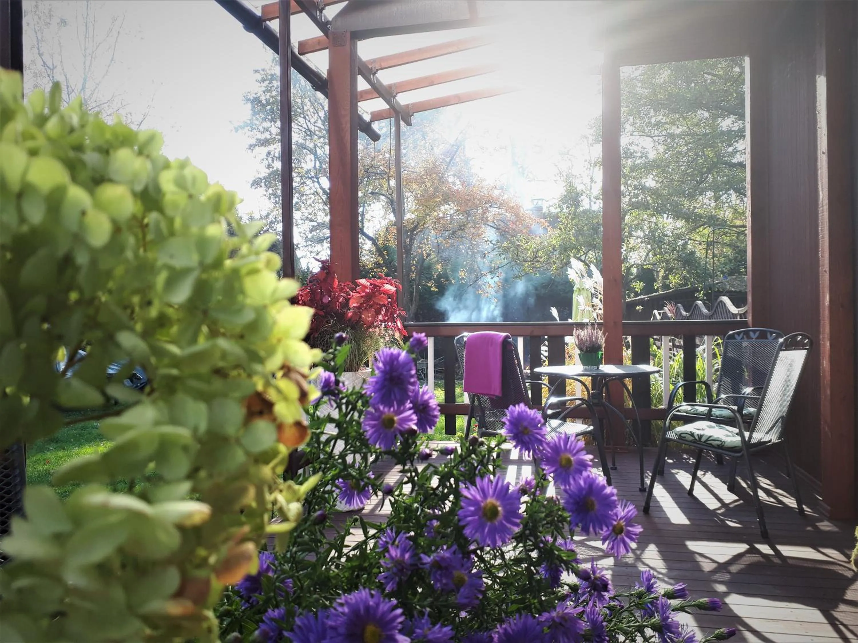 View (from property/room) in Alba Hotel