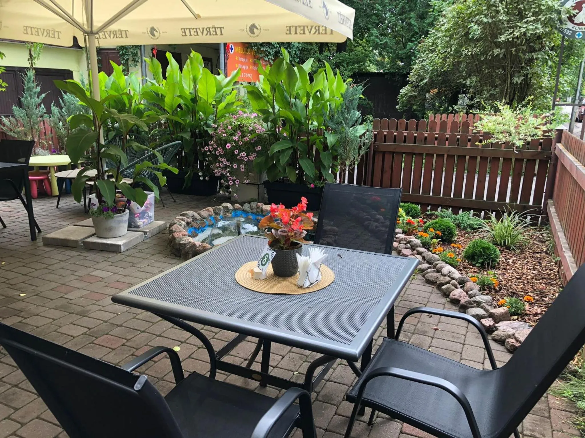 Restaurant/places to eat in Alba Hotel