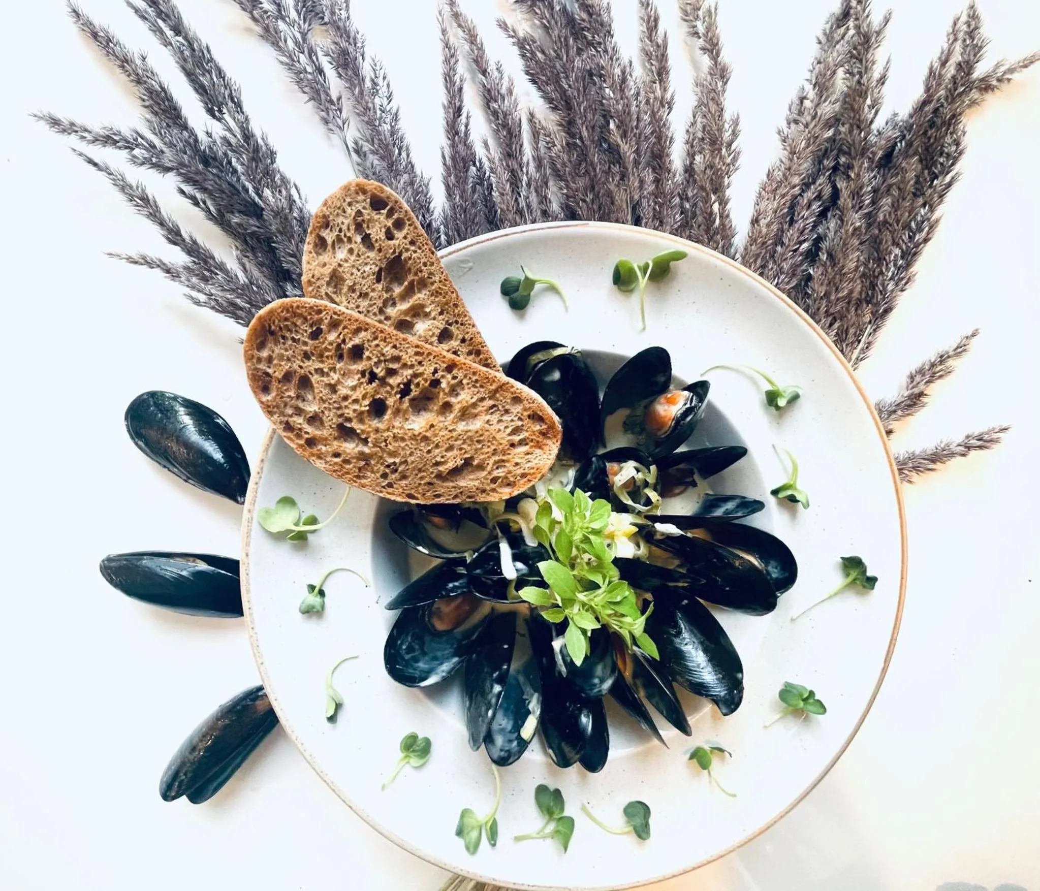 Restaurant/places to eat in Alba Hotel