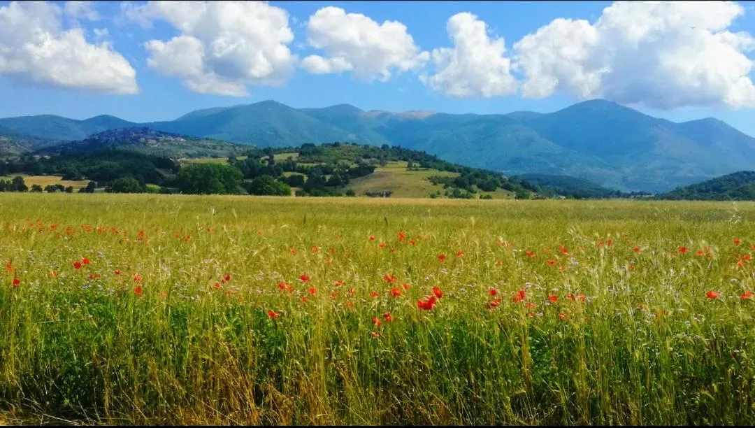 Casa per Ferie Metamorphosi