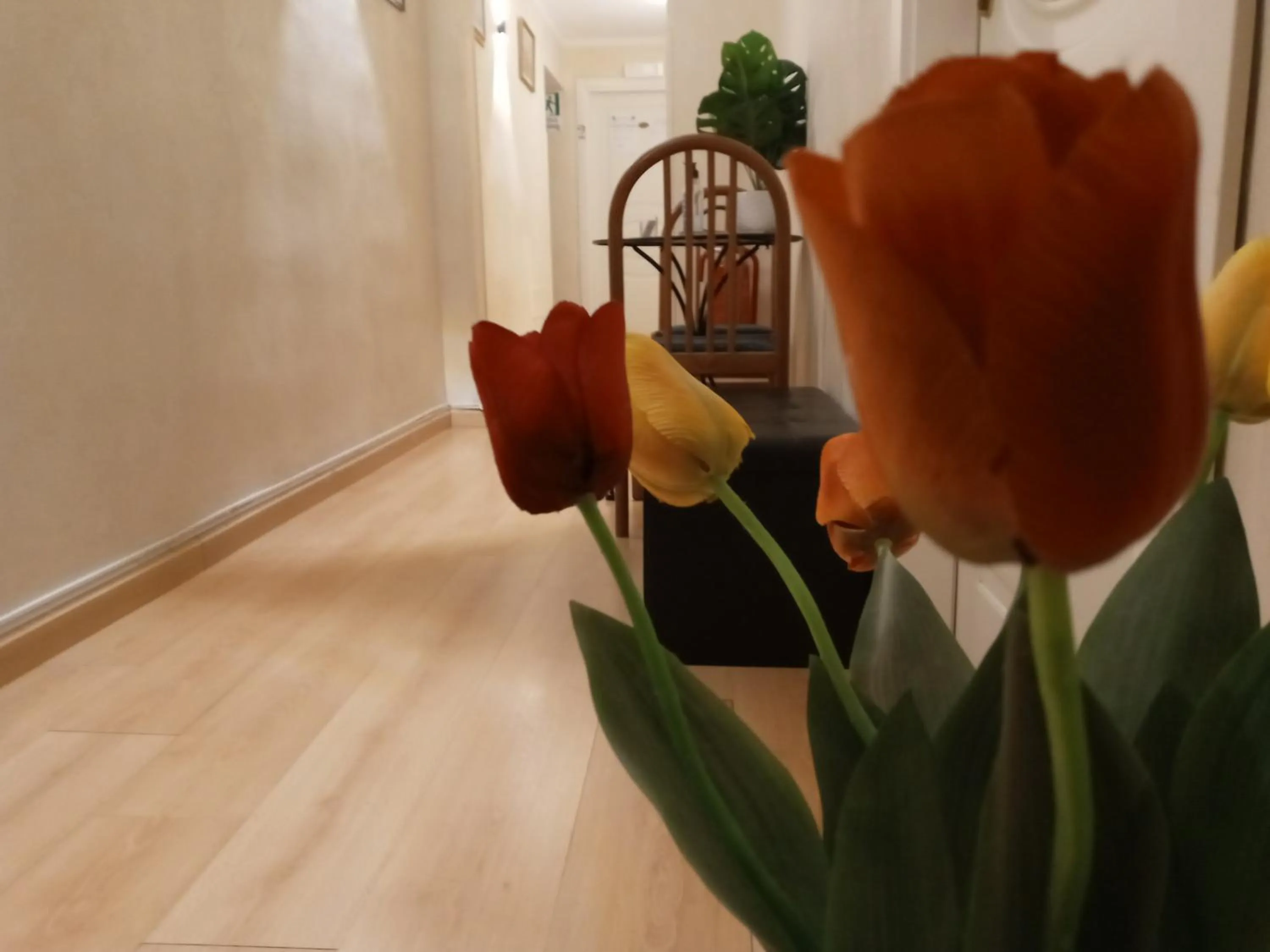 View (from property/room) in La Casa Dell'Arte