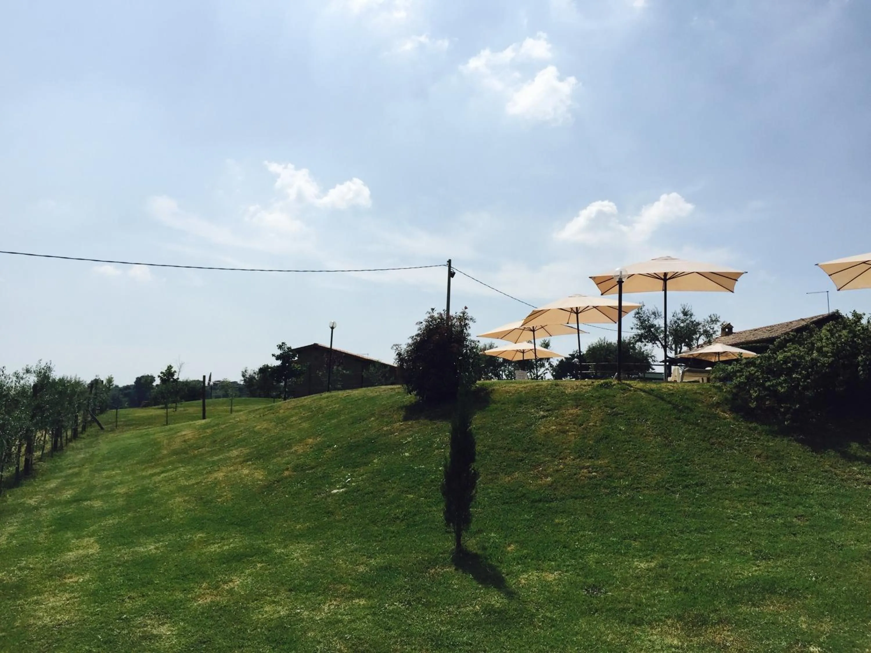 Garden in Agriturismo Nociquerceto