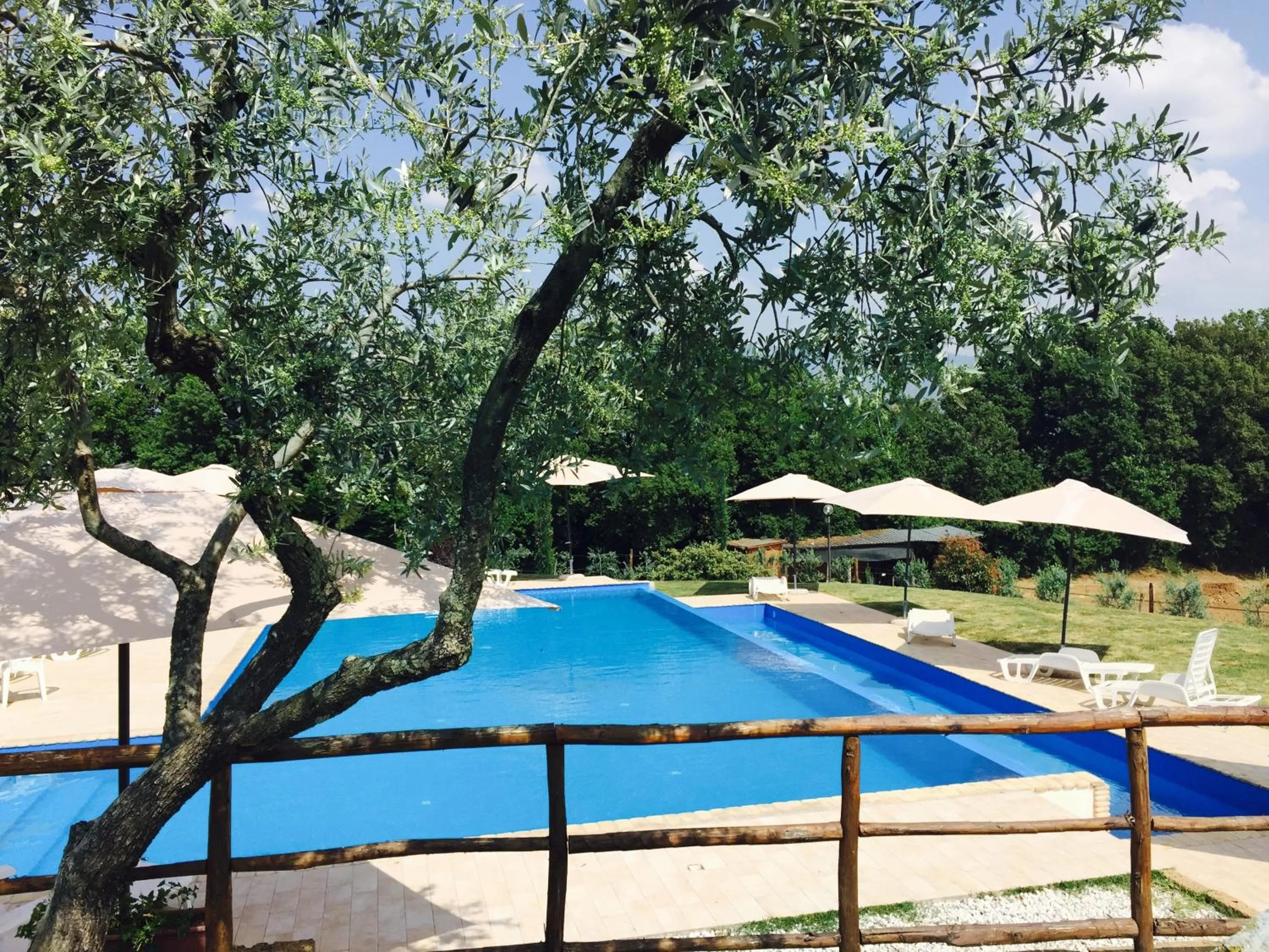 Swimming pool in Agriturismo Nociquerceto