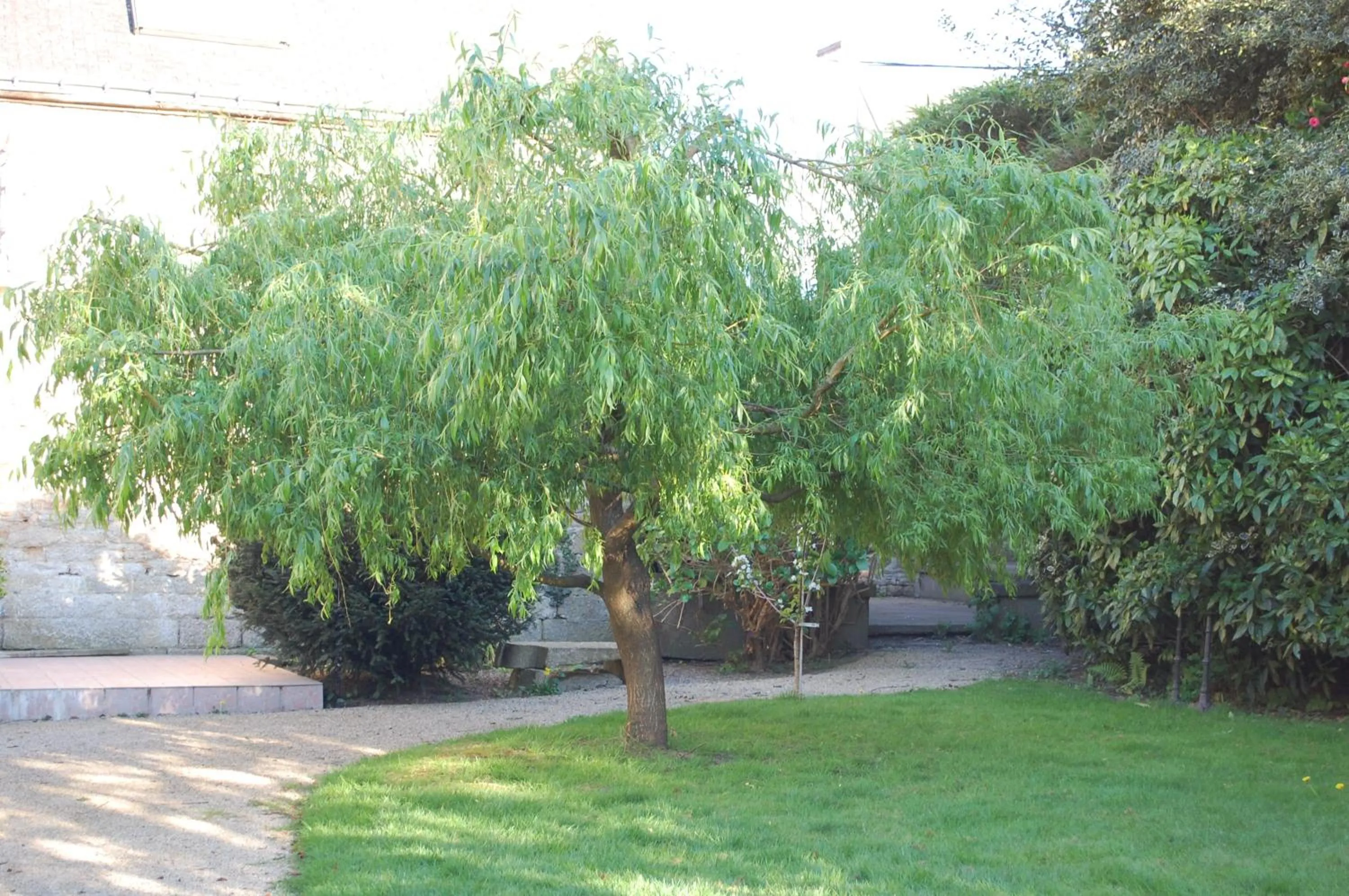 Property building in Logis Hotel L'europe