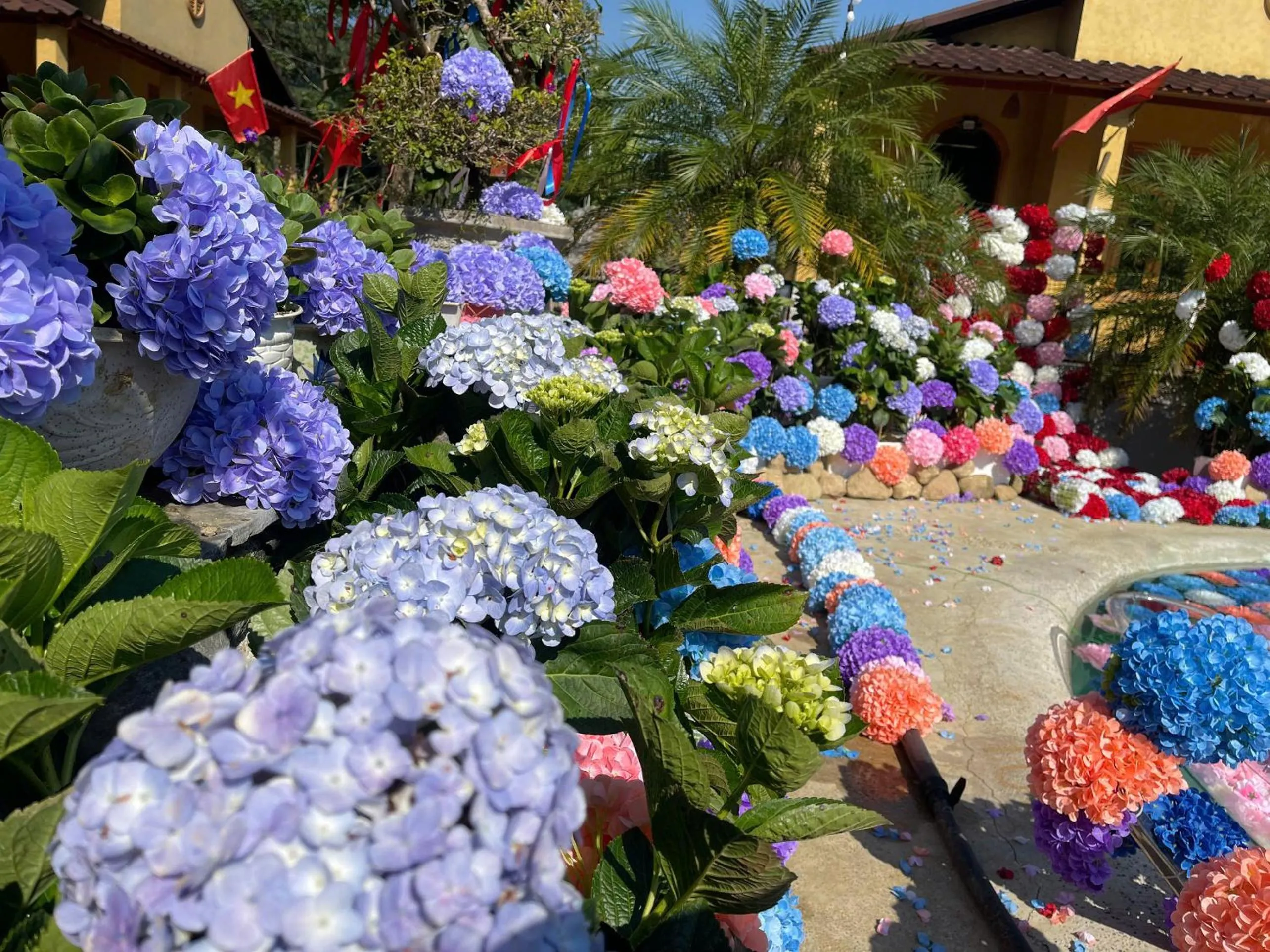 Garden in Wings Ha Giang Loop Bungalow