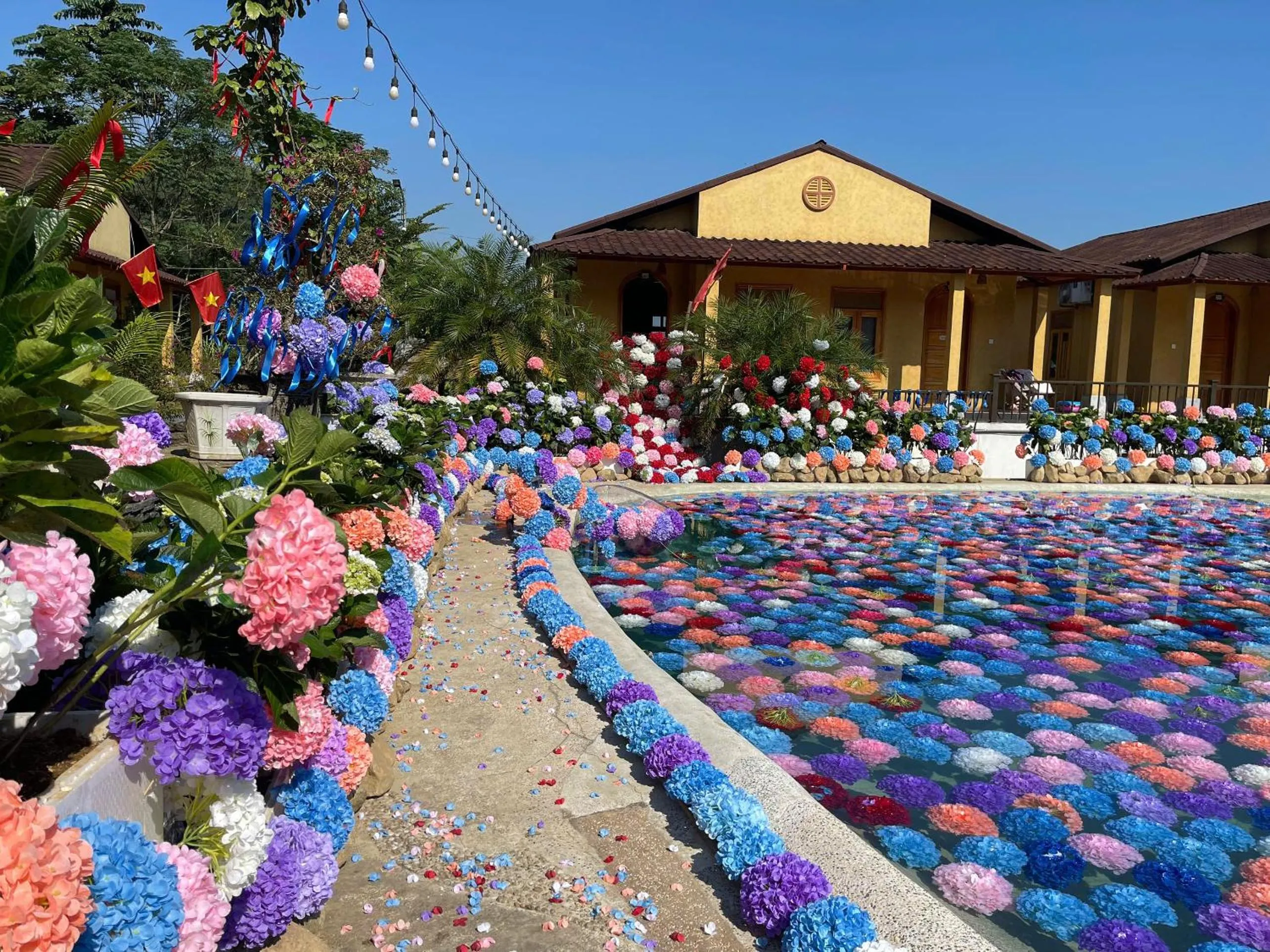 Garden in Wings Ha Giang Loop Bungalow