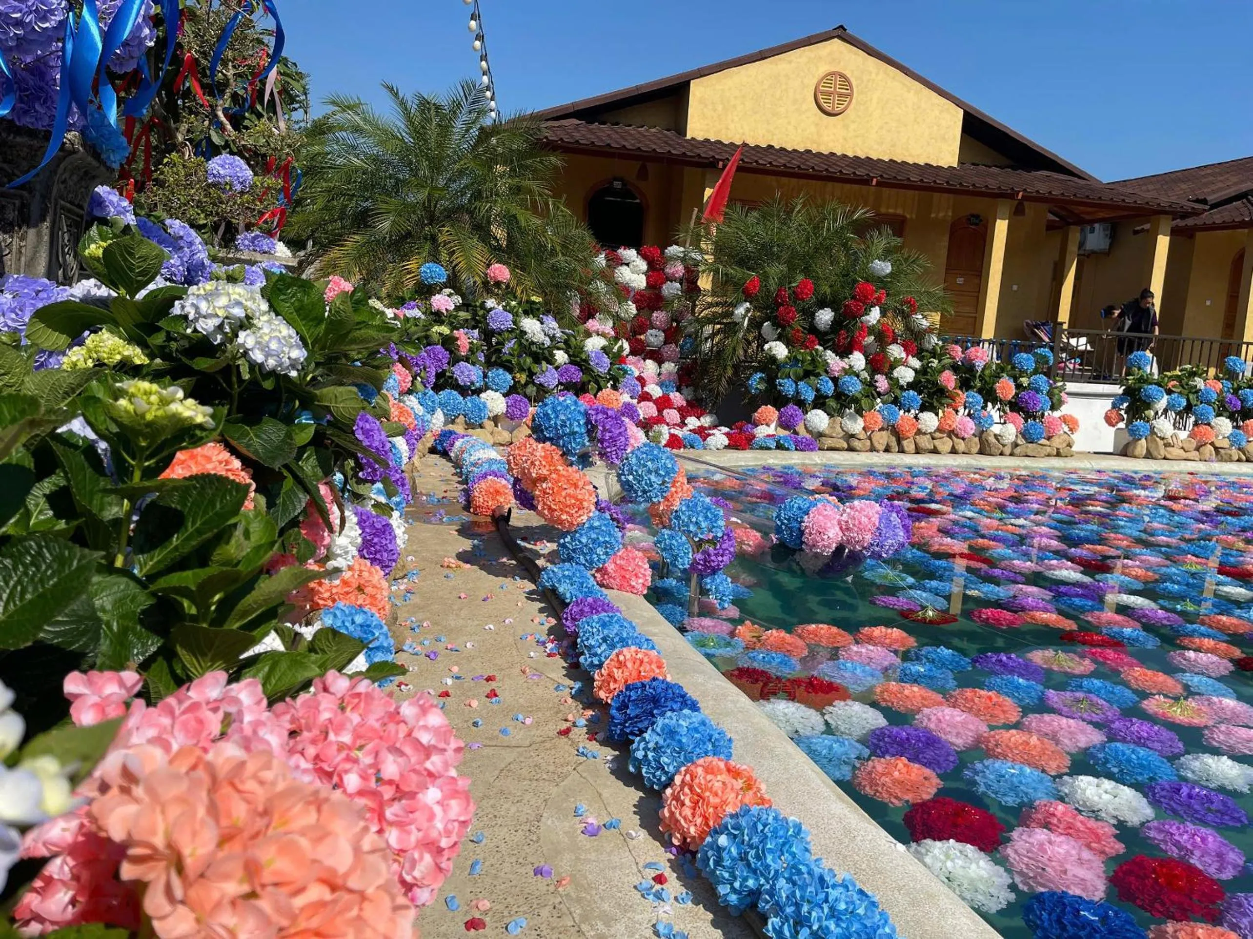 Garden in Wings Ha Giang Loop Bungalow