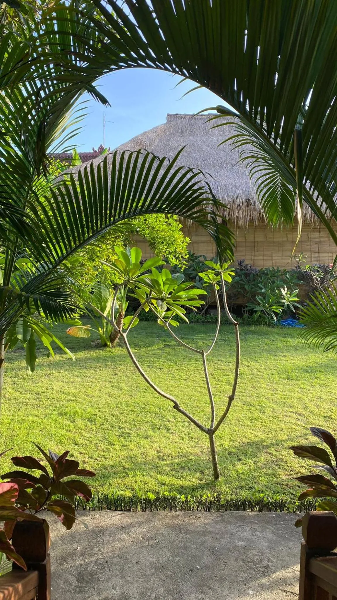 Natural landscape in Island Garden Huts Lembongan