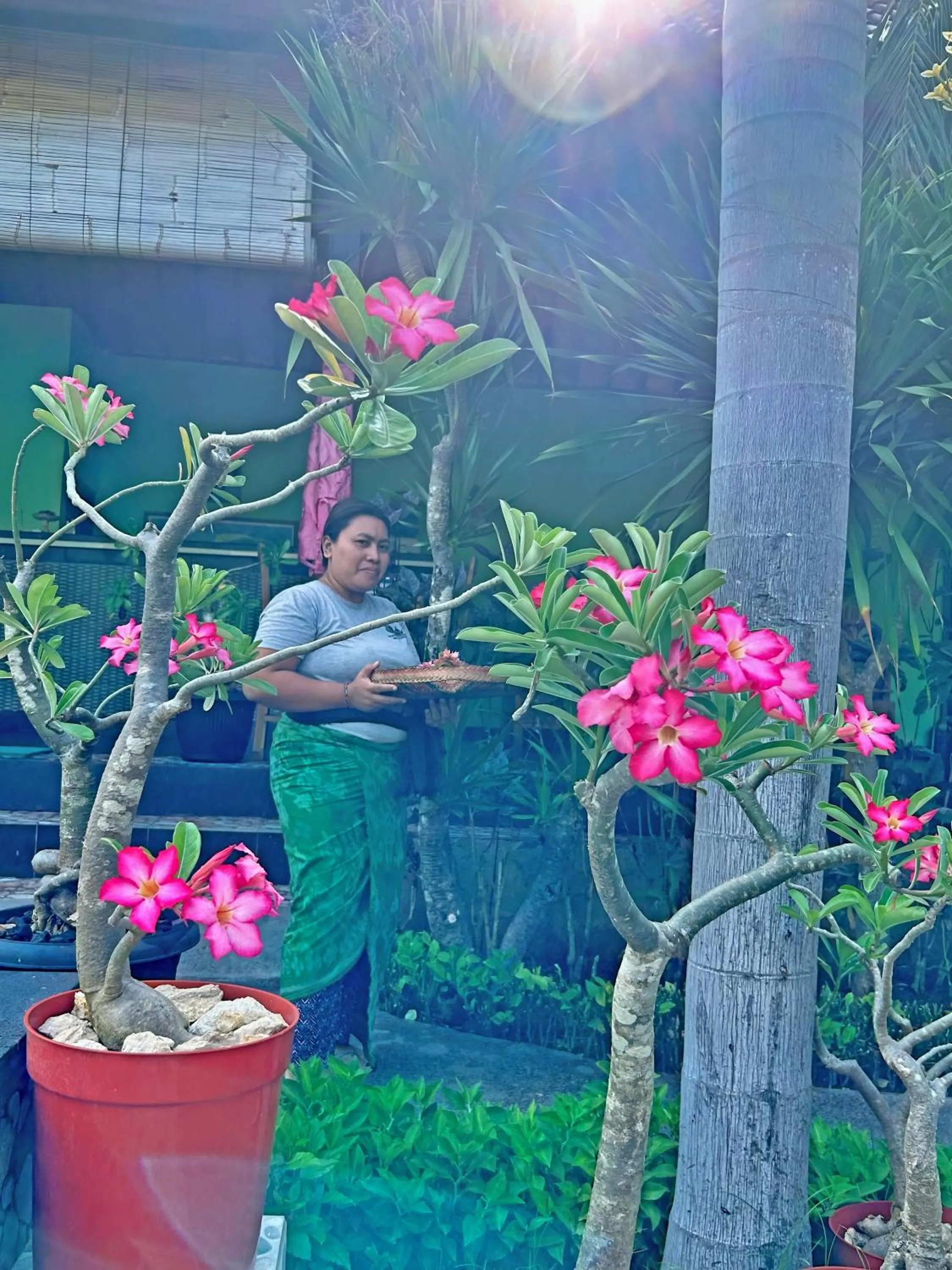 Property building in Island Garden Huts Lembongan