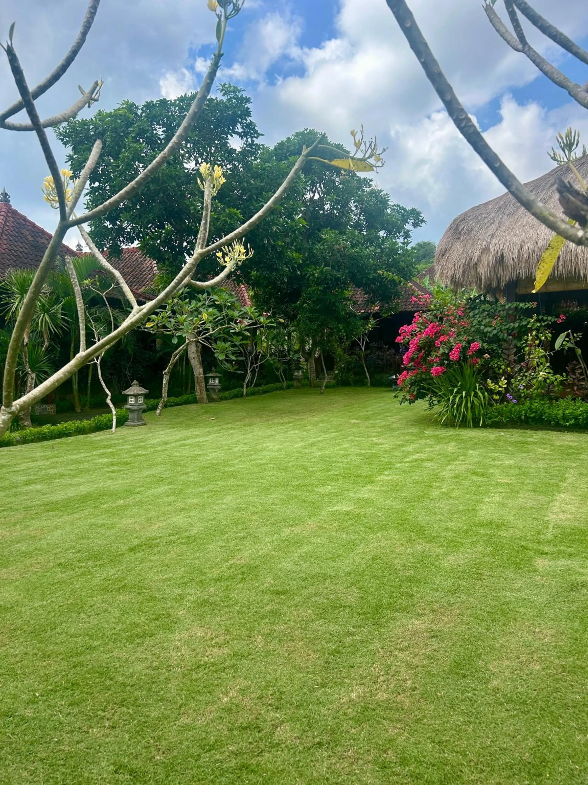 Natural landscape in Island Garden Huts Lembongan