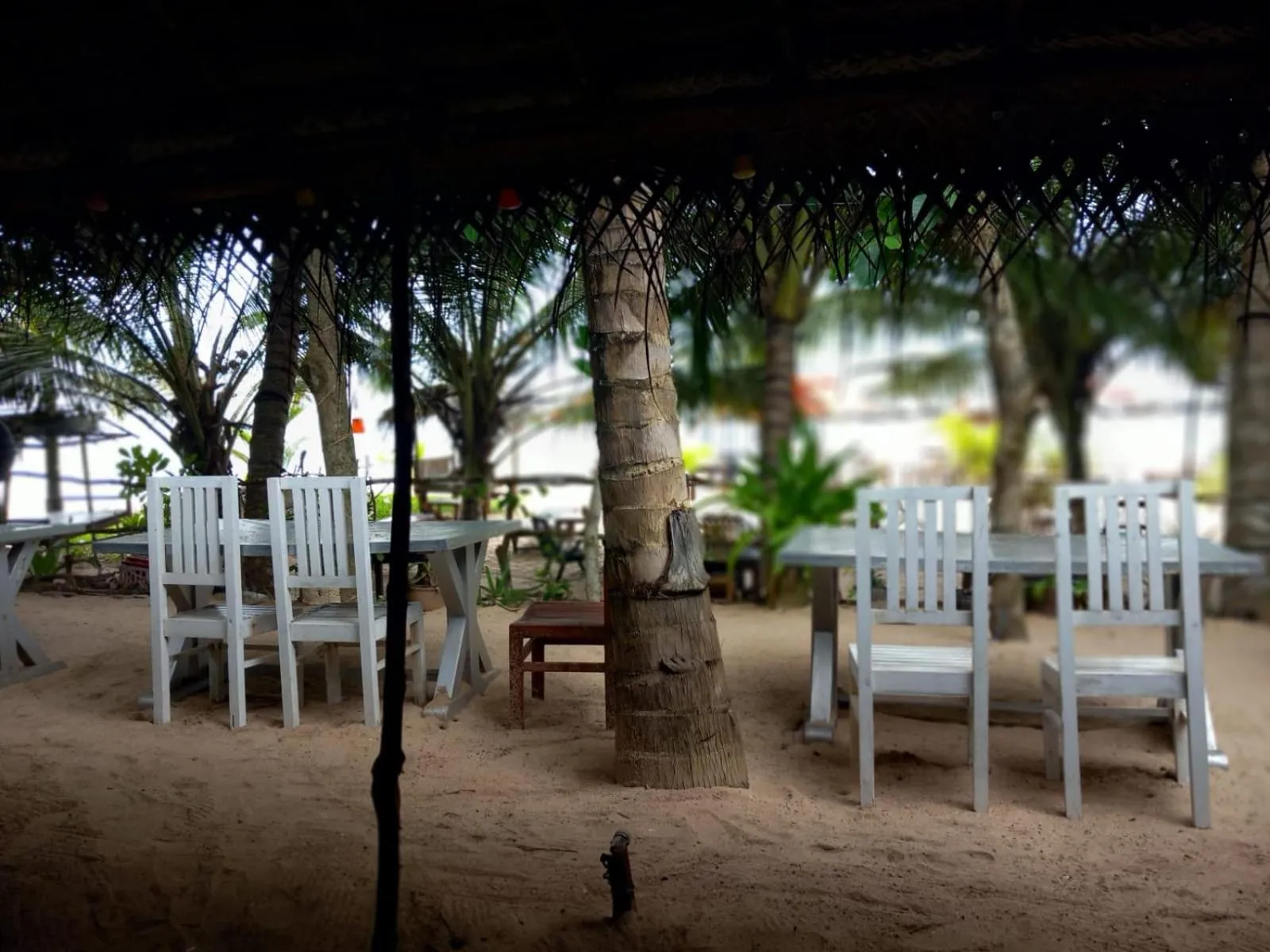 Blue Horizon Beach Hotel