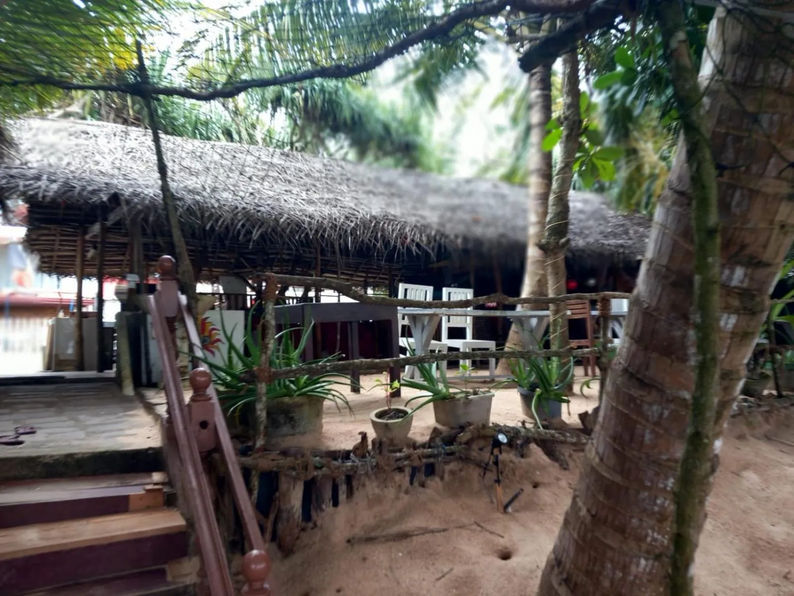 Blue Horizon Beach Hotel