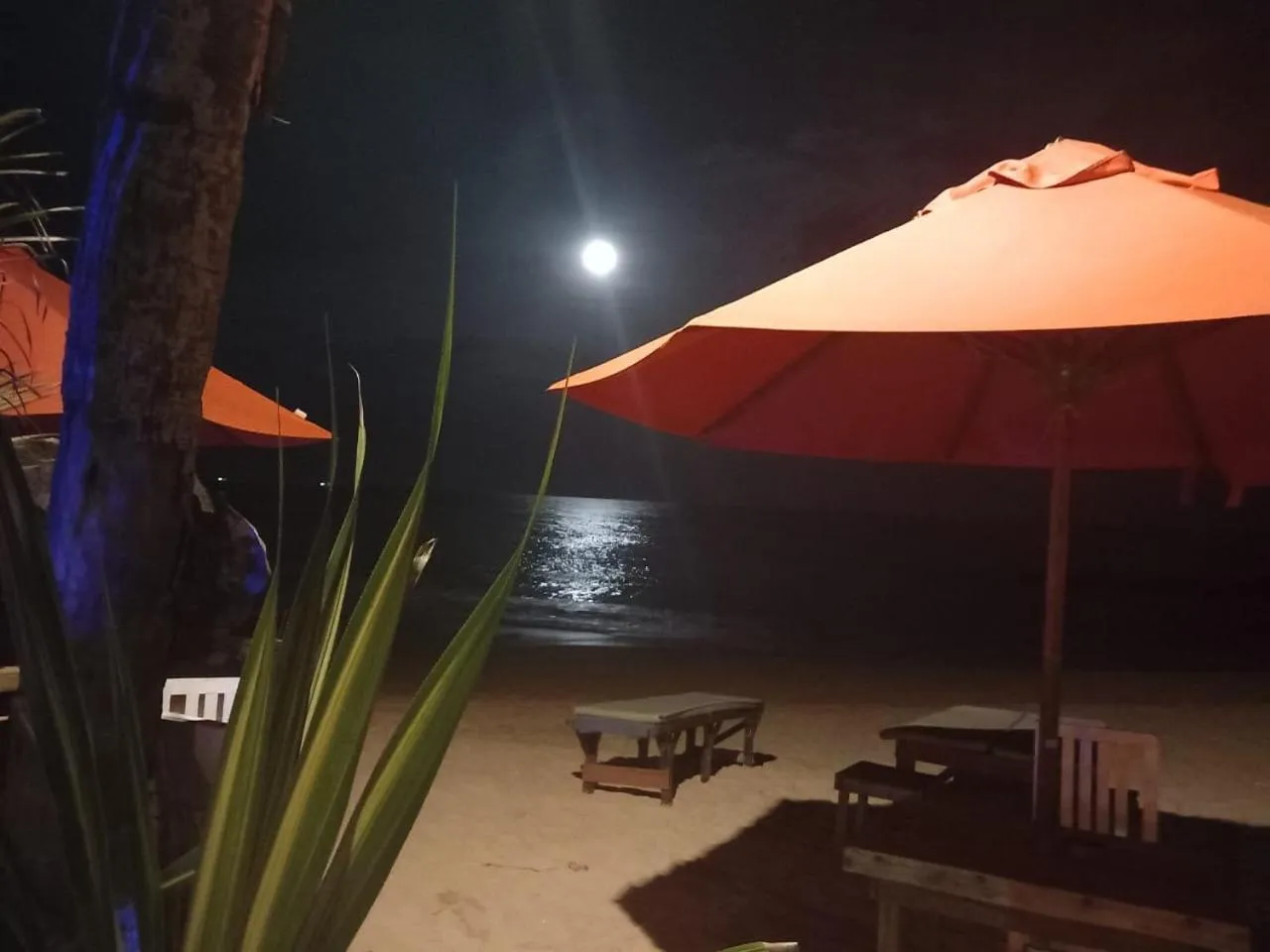 Blue Horizon Beach Hotel