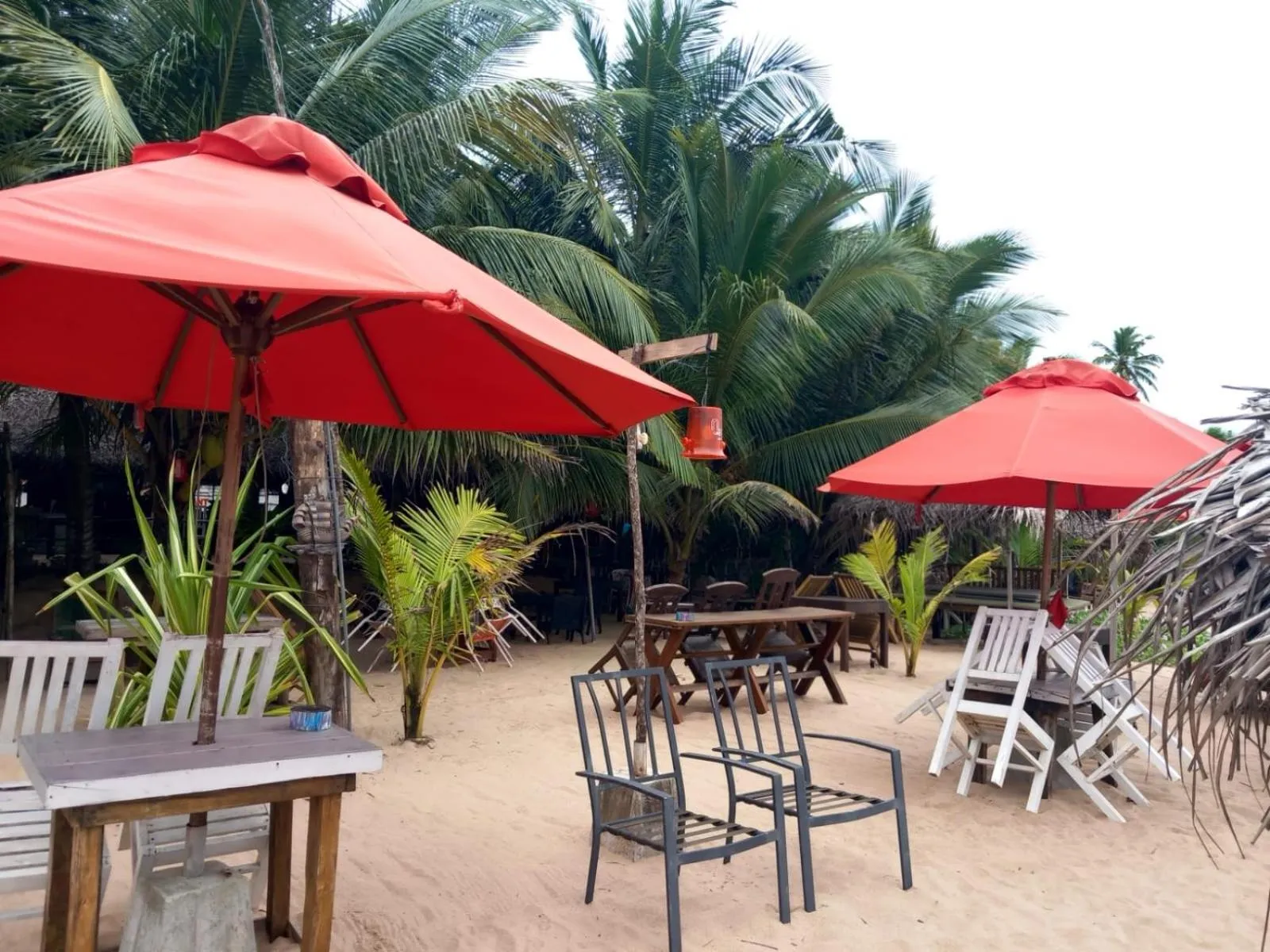 Blue Horizon Beach Hotel