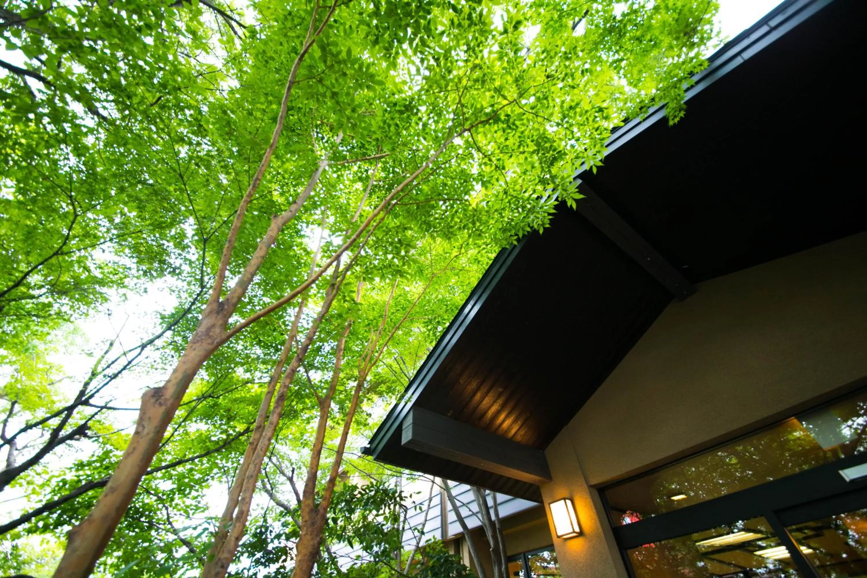 Property building in Yunosato Hayama