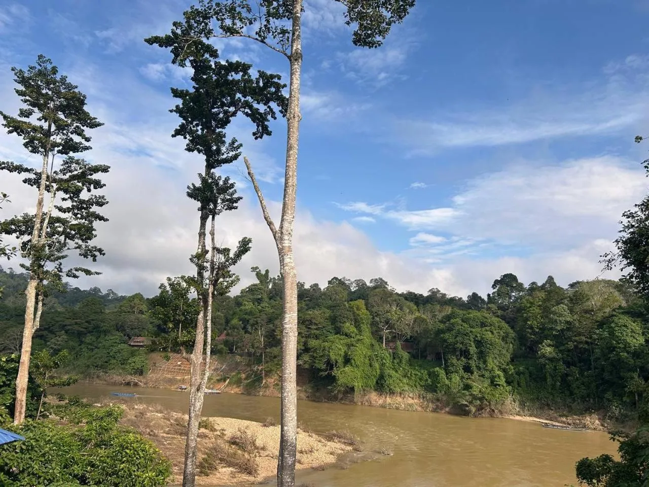 Taman Negara River View Lodge