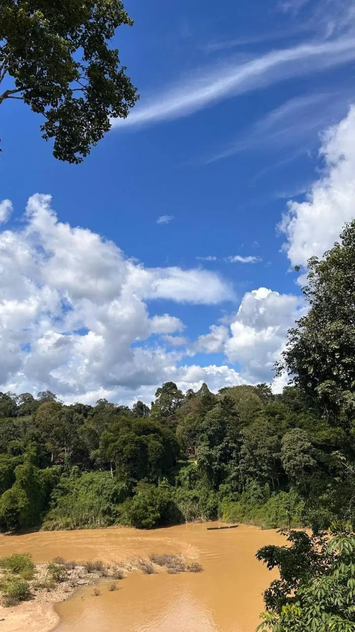 Nearby landmark in Taman Negara River View Lodge