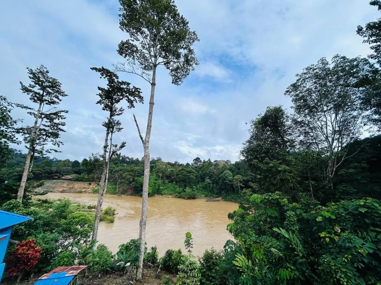 Taman Negara River View Lodge