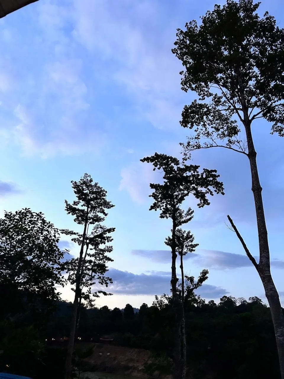 Taman Negara River View Lodge