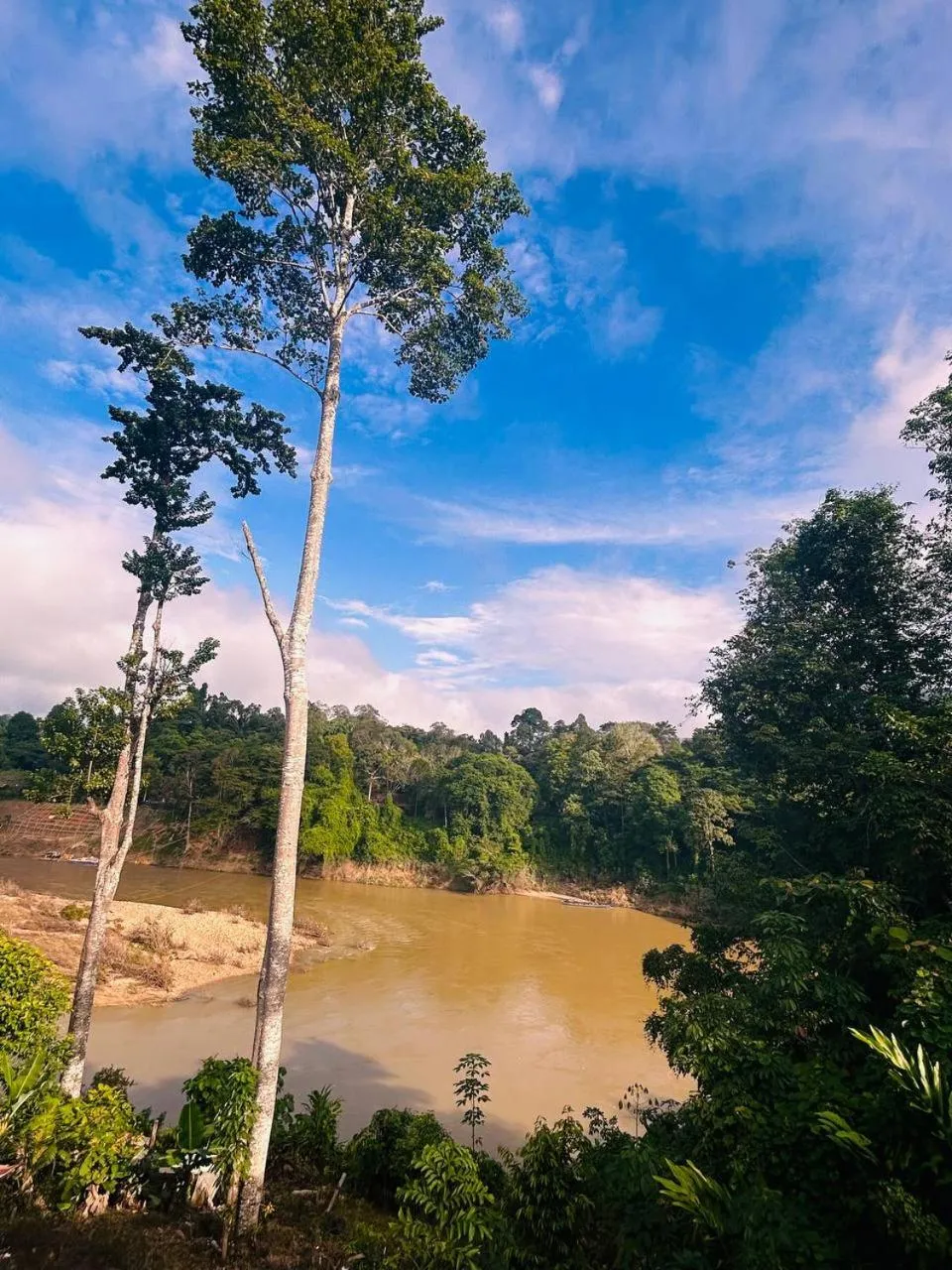 River view in Taman Negara River View Lodge