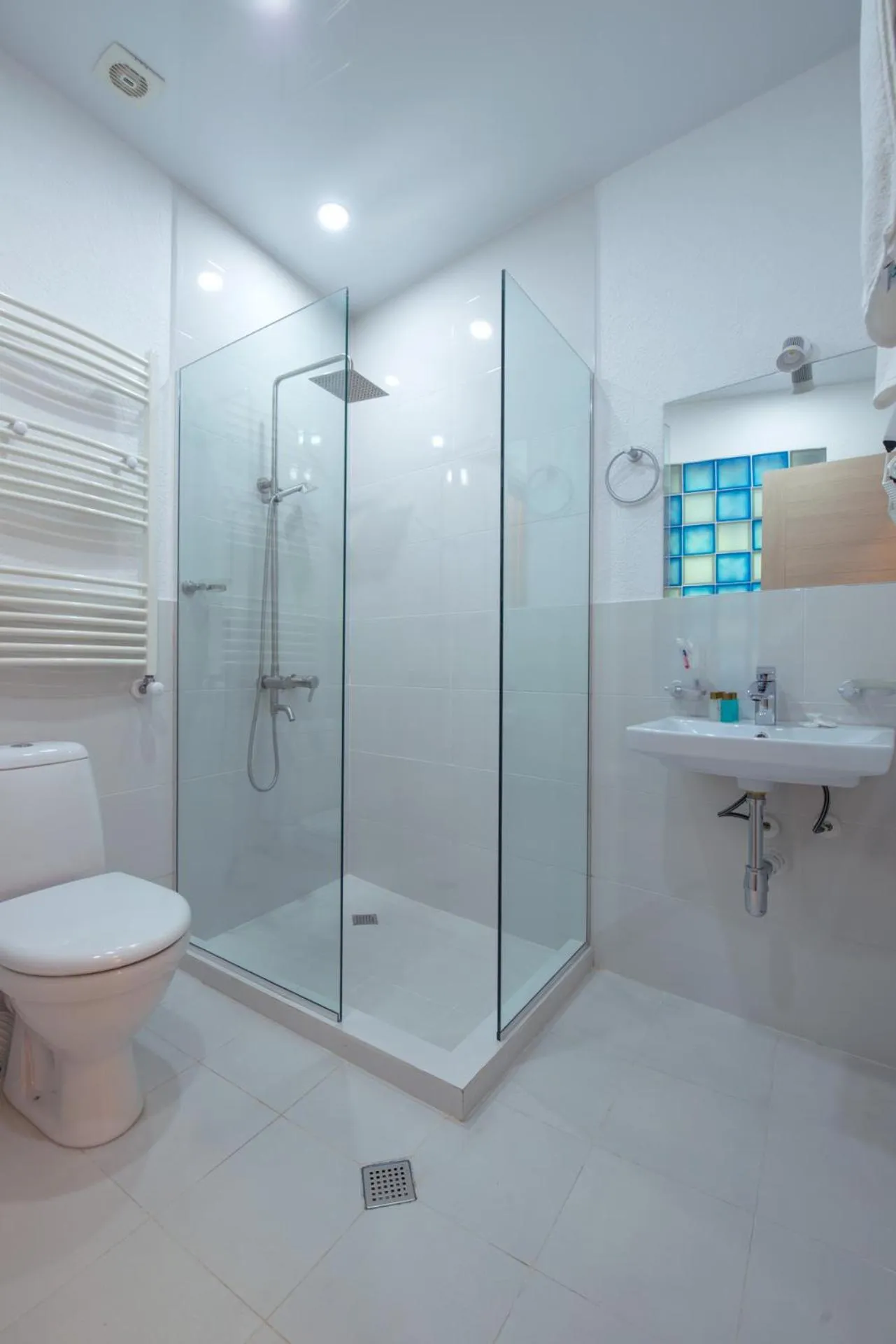 Bathroom in Hotel Opinion