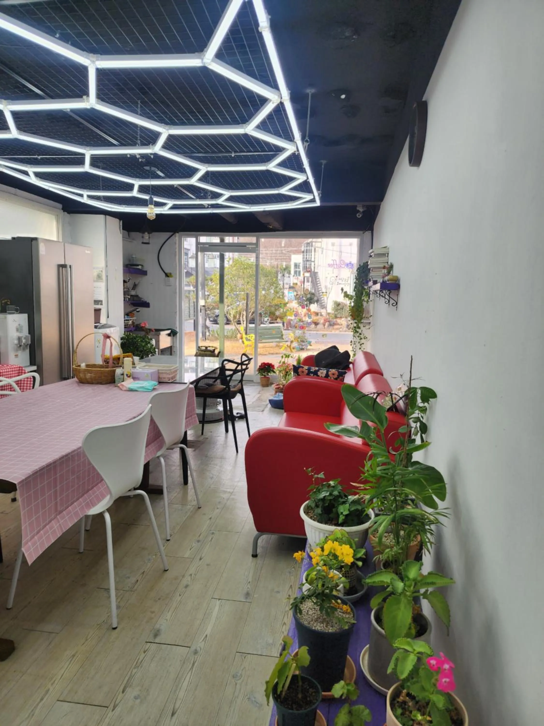 Bellus-Rose Pension Gyeongju