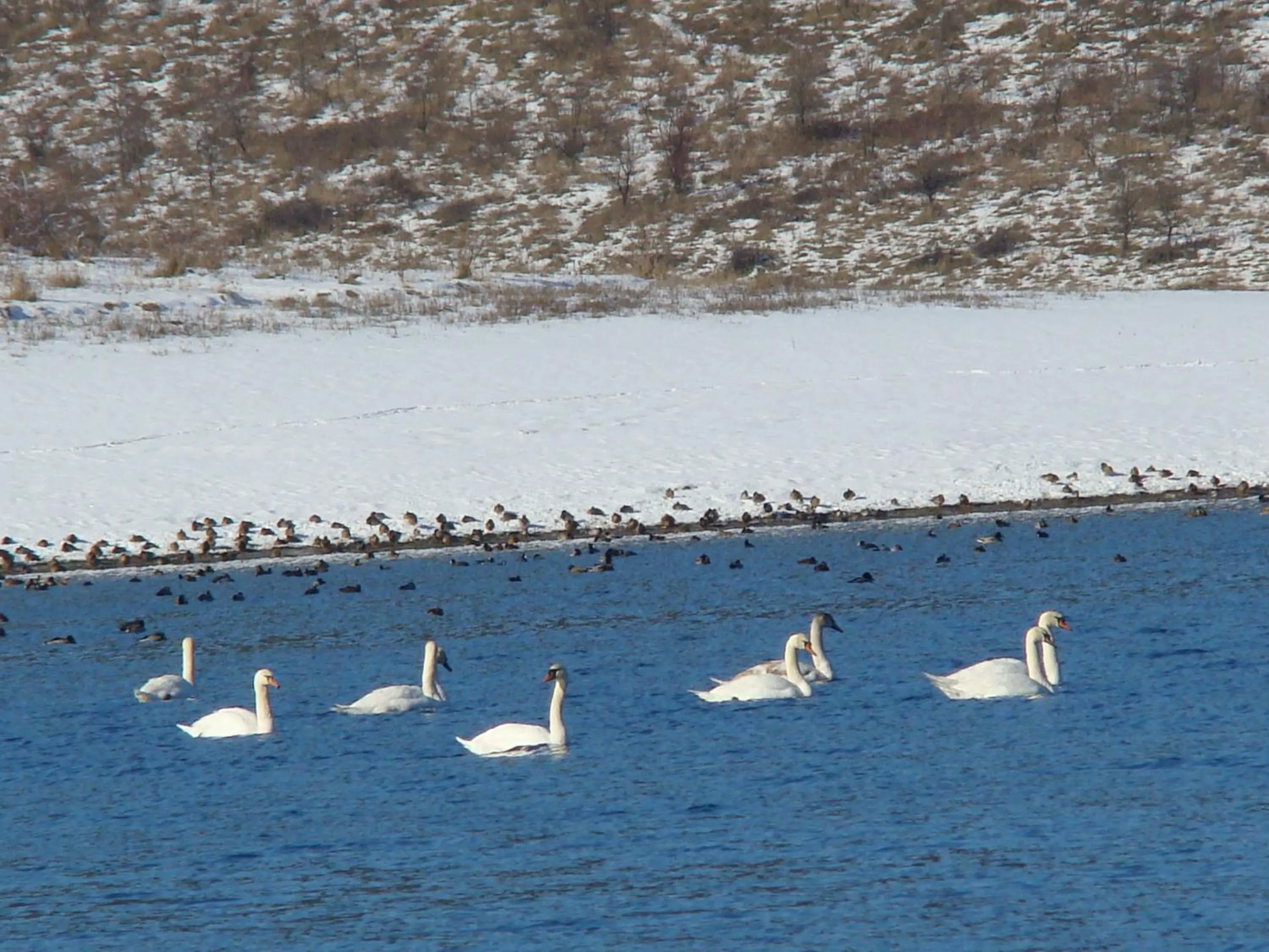 Lake view in Complex Pristan in the mountain