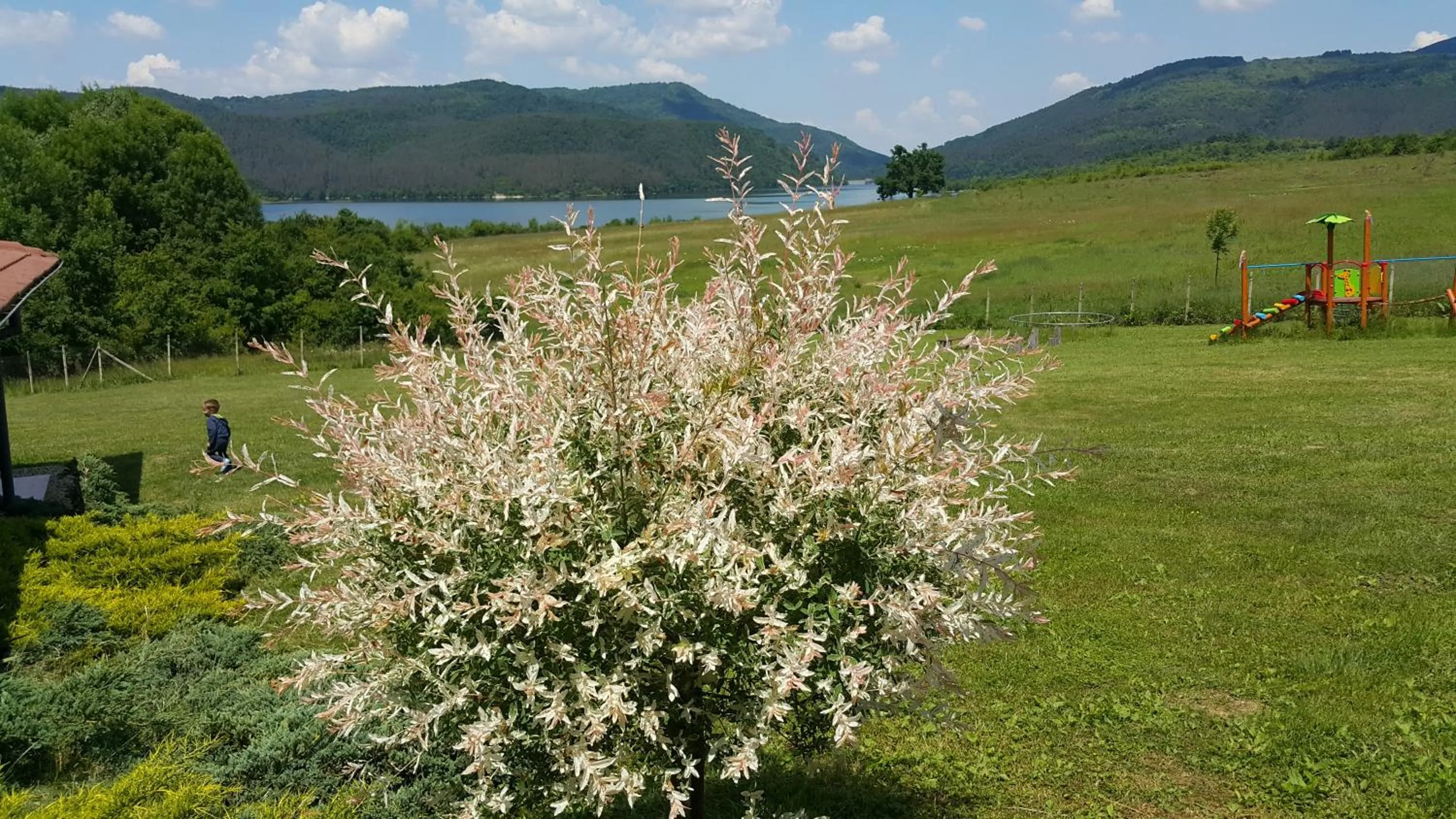 Garden view in Complex Pristan in the mountain