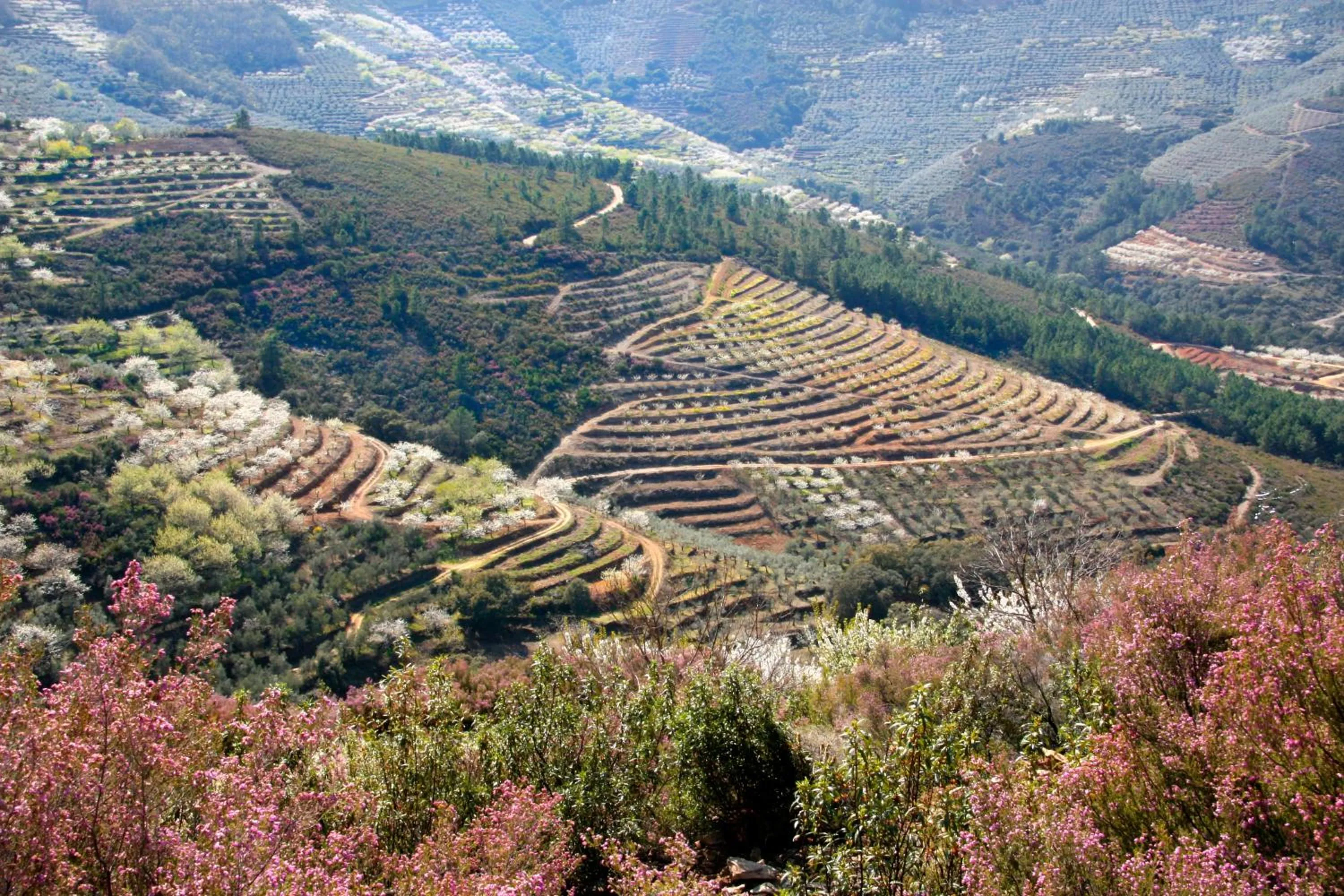 Hiking in La Posada del Casar