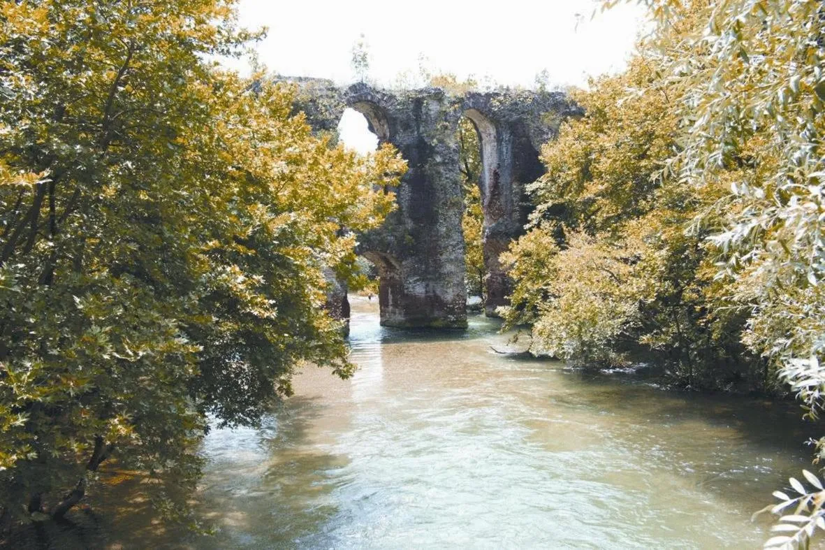 Area and facilities in Hotel Iliana