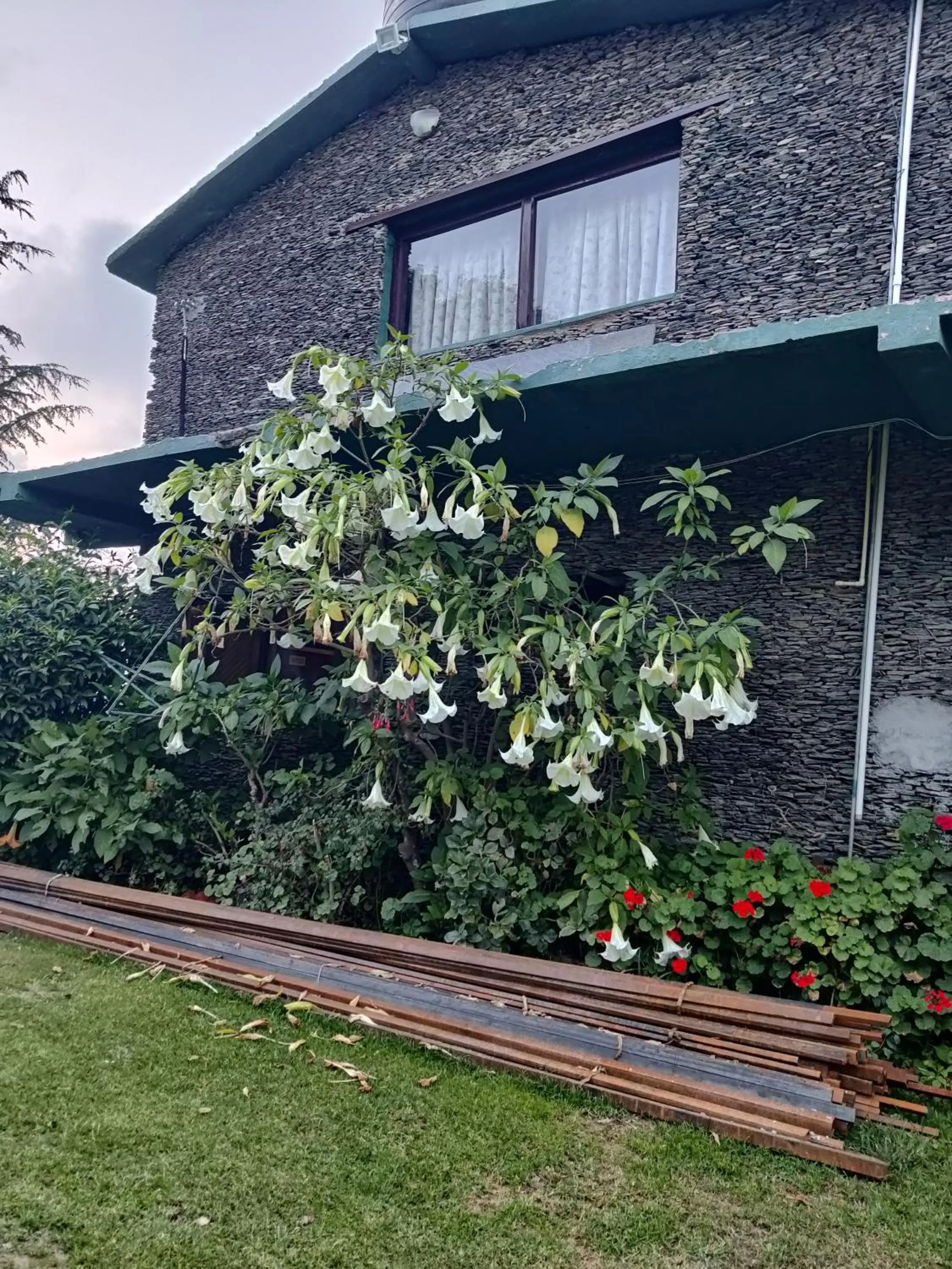 Property building in Cedar Lodge By Aahma