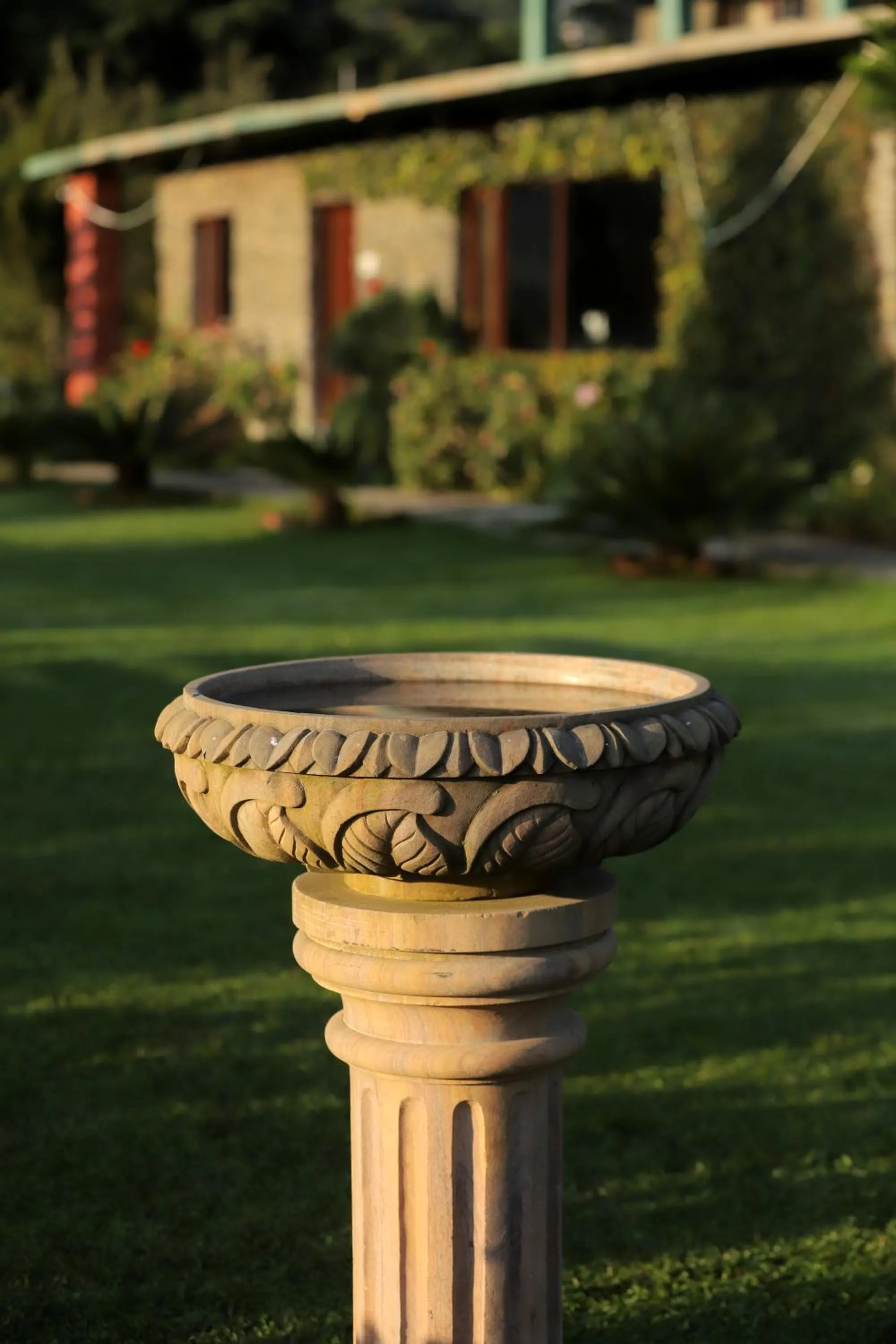 Garden in Cedar Lodge By Aahma