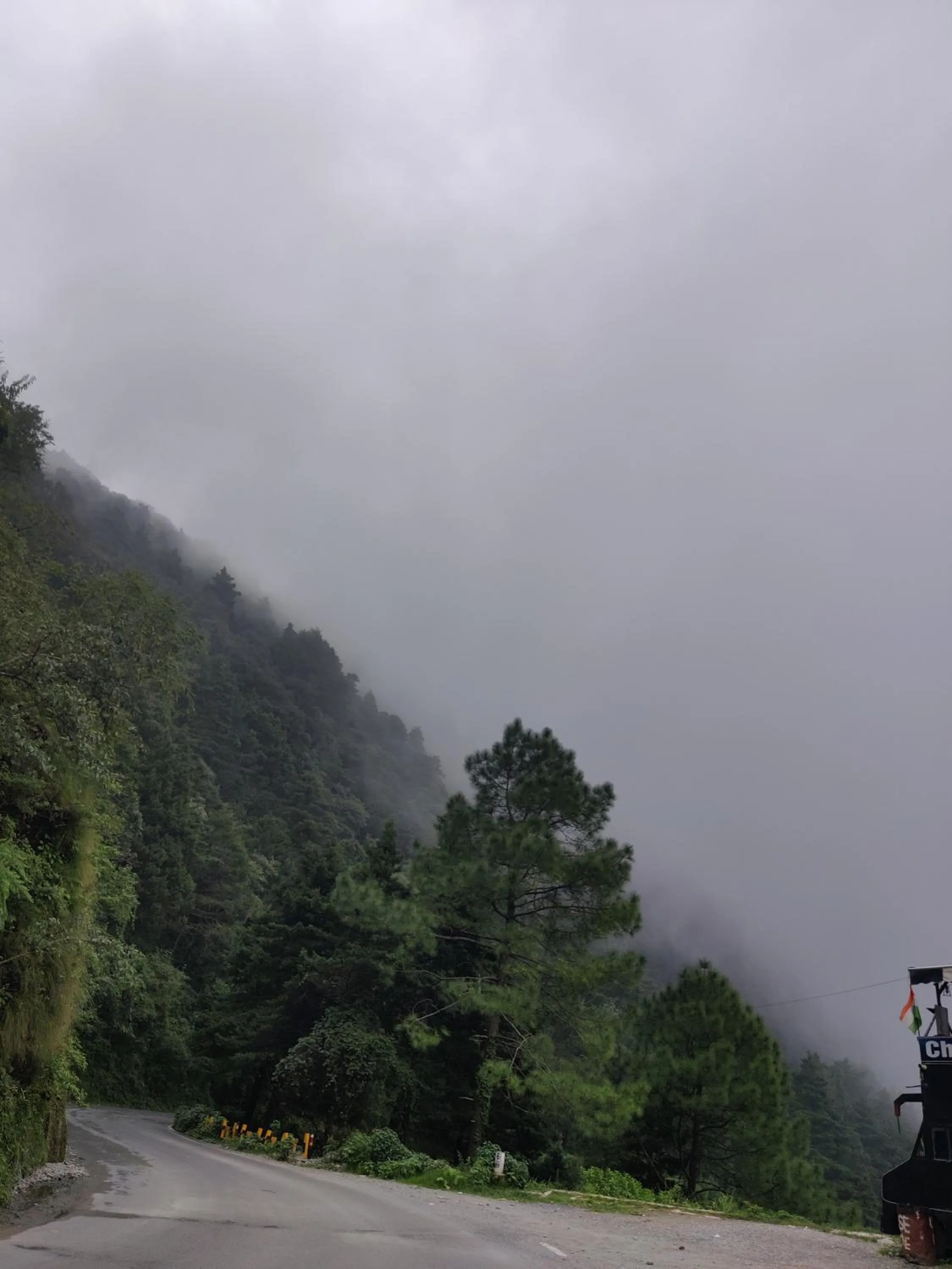 Natural landscape in Cedar Lodge By Aahma