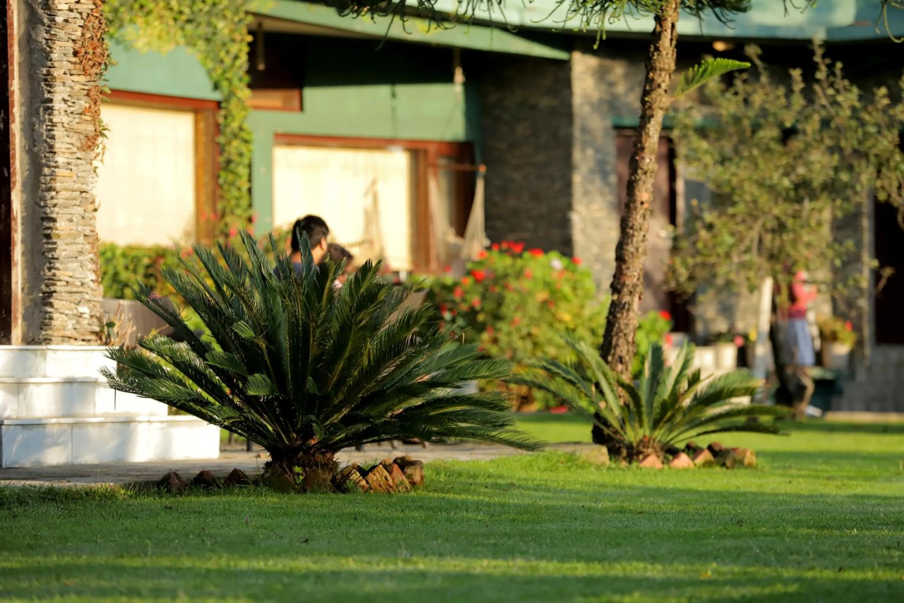 Property building in Cedar Lodge By Aahma