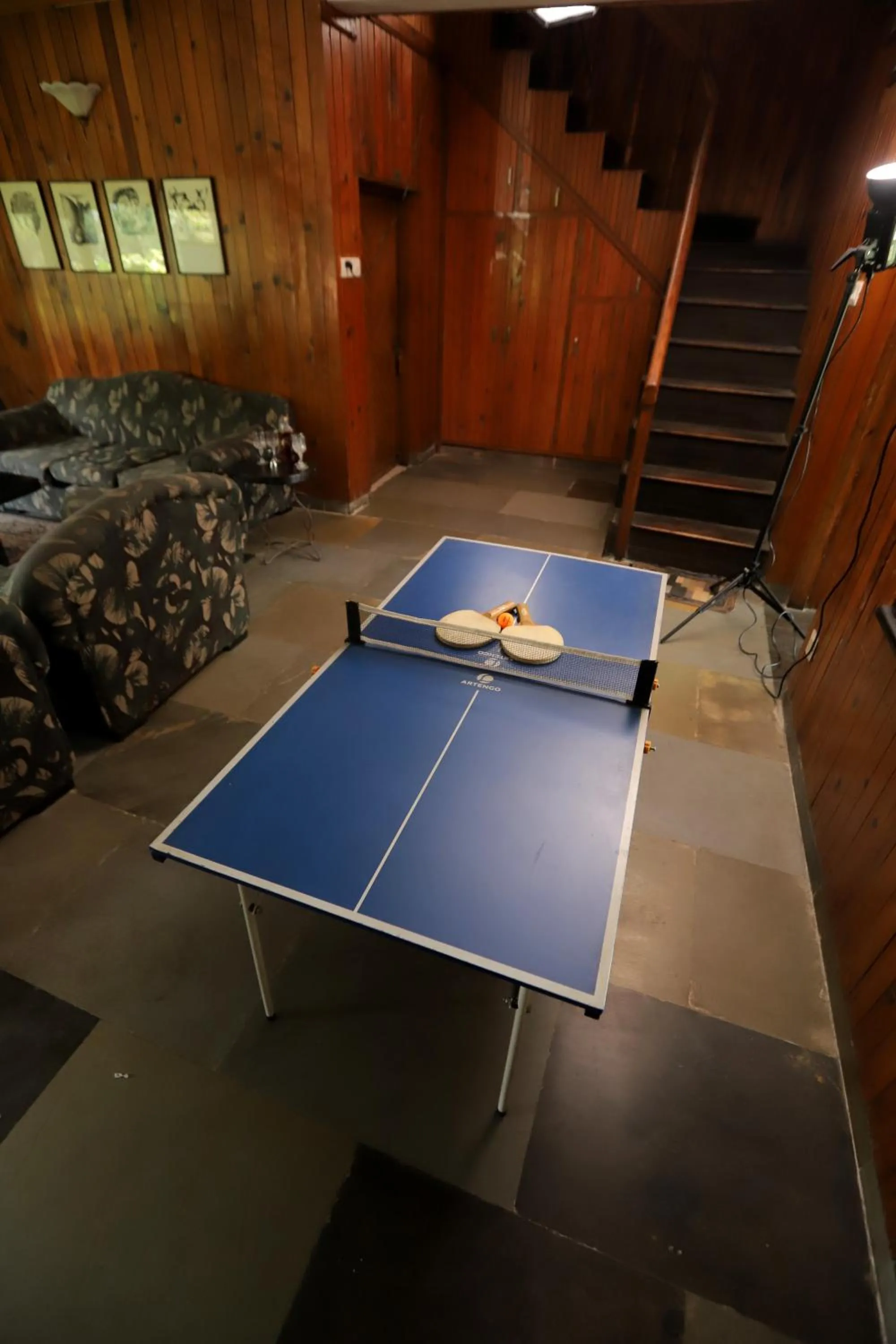 Game Room in Cedar Lodge By Aahma