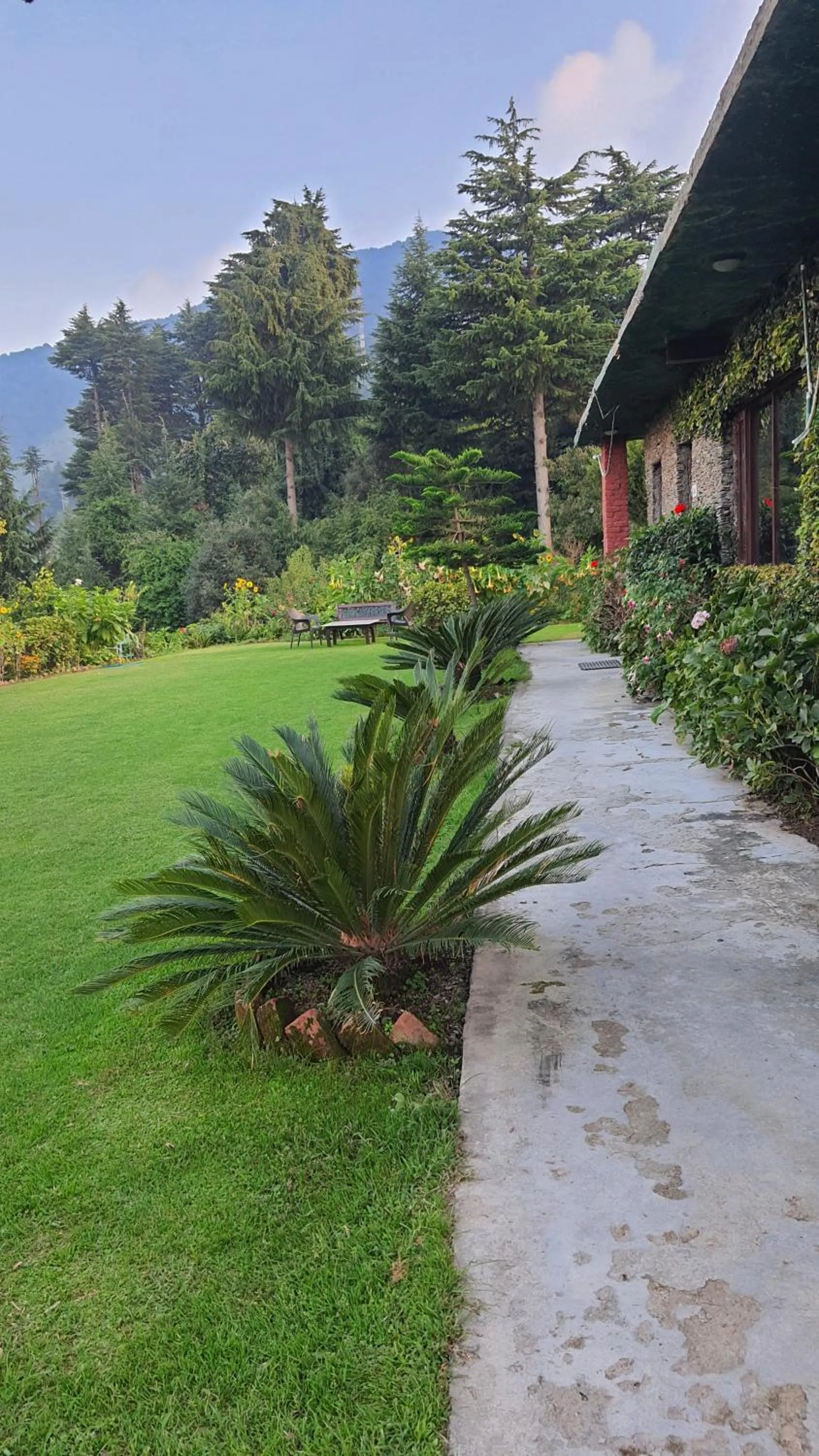 Natural landscape in Cedar Lodge By Aahma