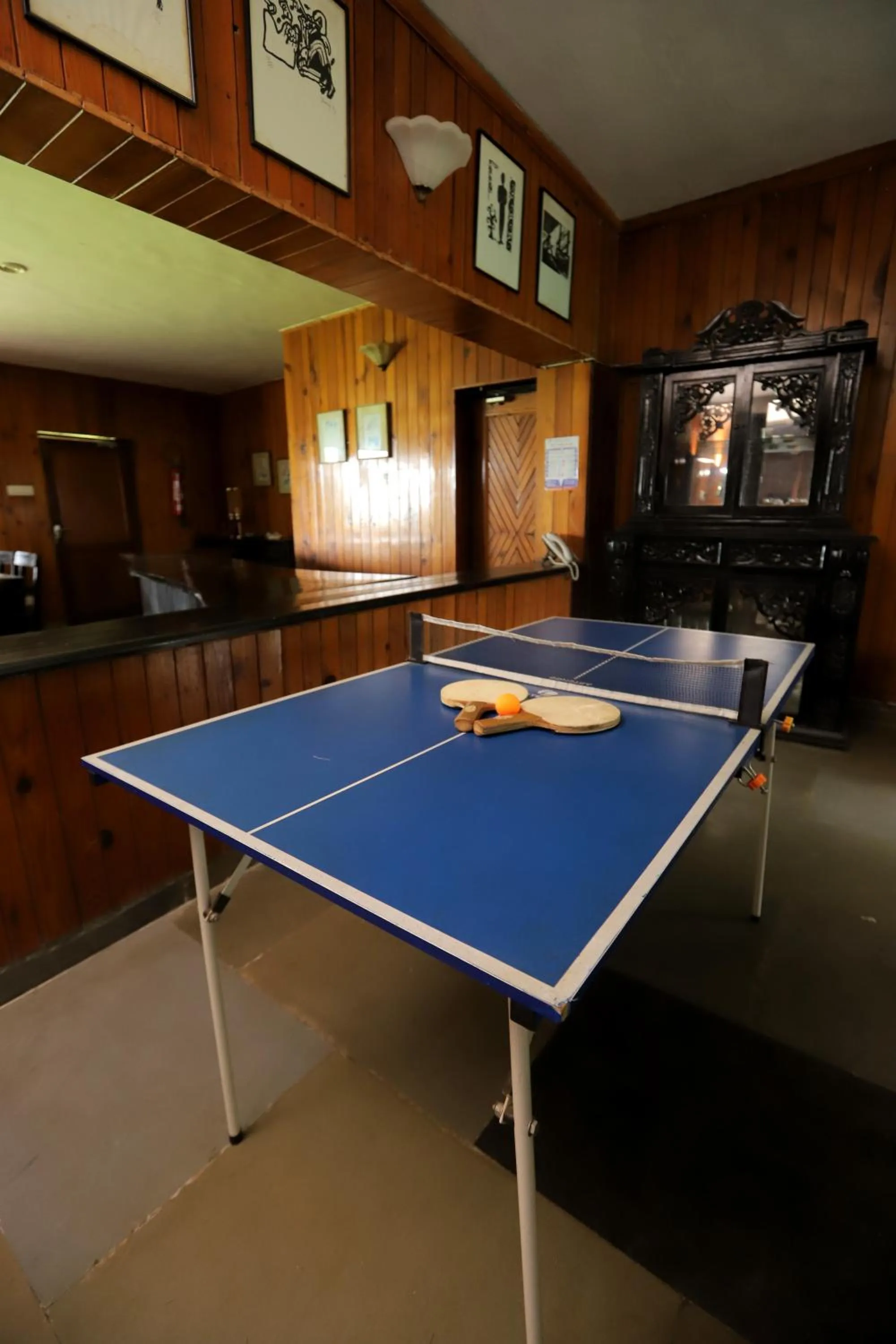 Game Room in Cedar Lodge By Aahma