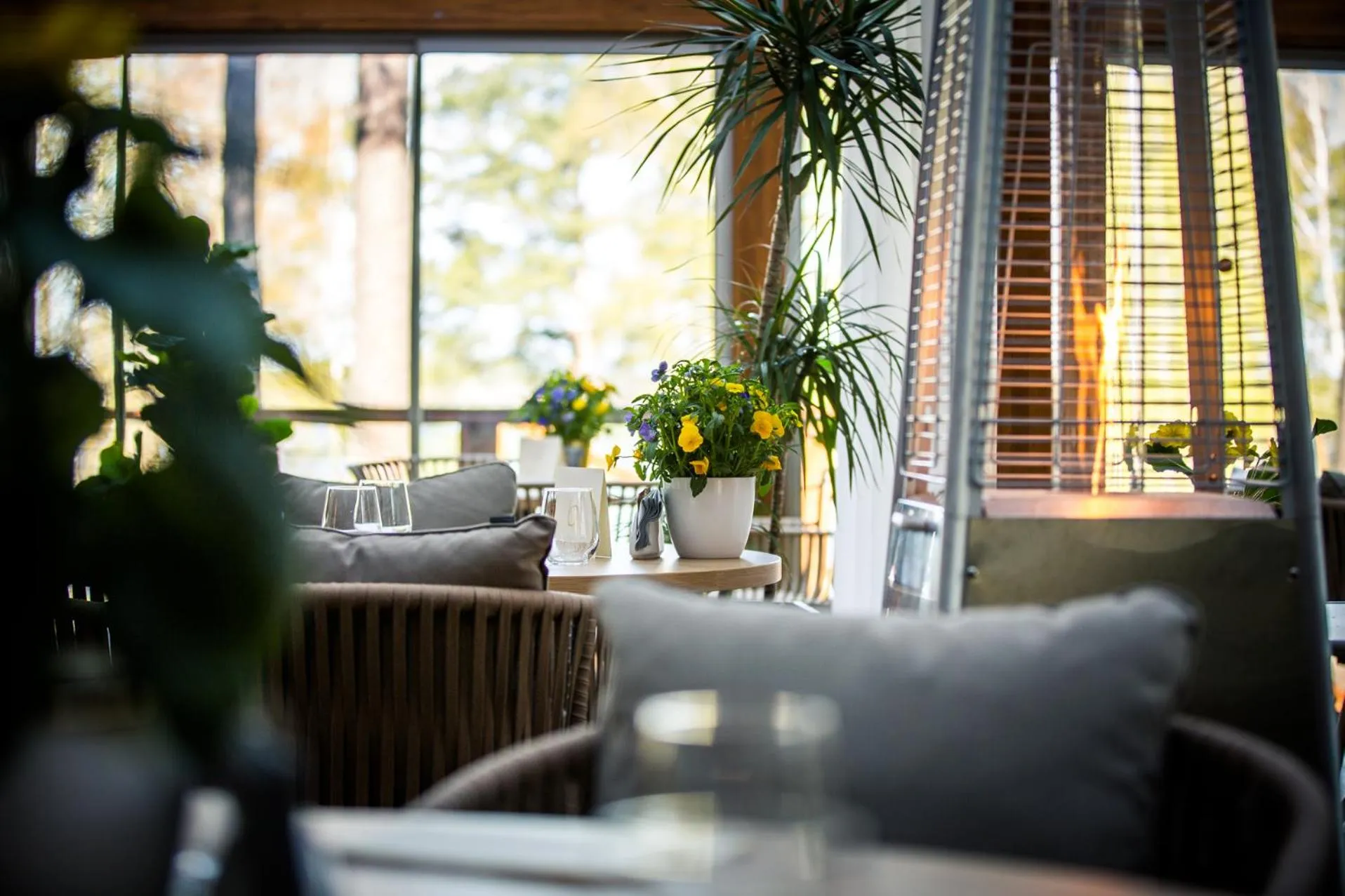 Restaurant/places to eat in Baltvilla