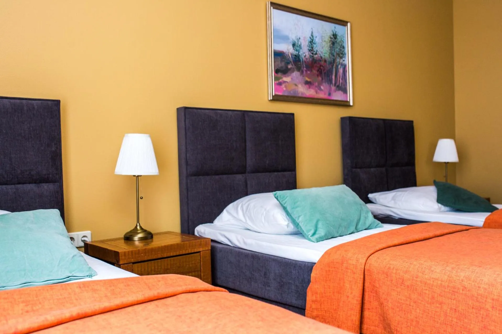 Photo of the whole room, Bed in Baltvilla