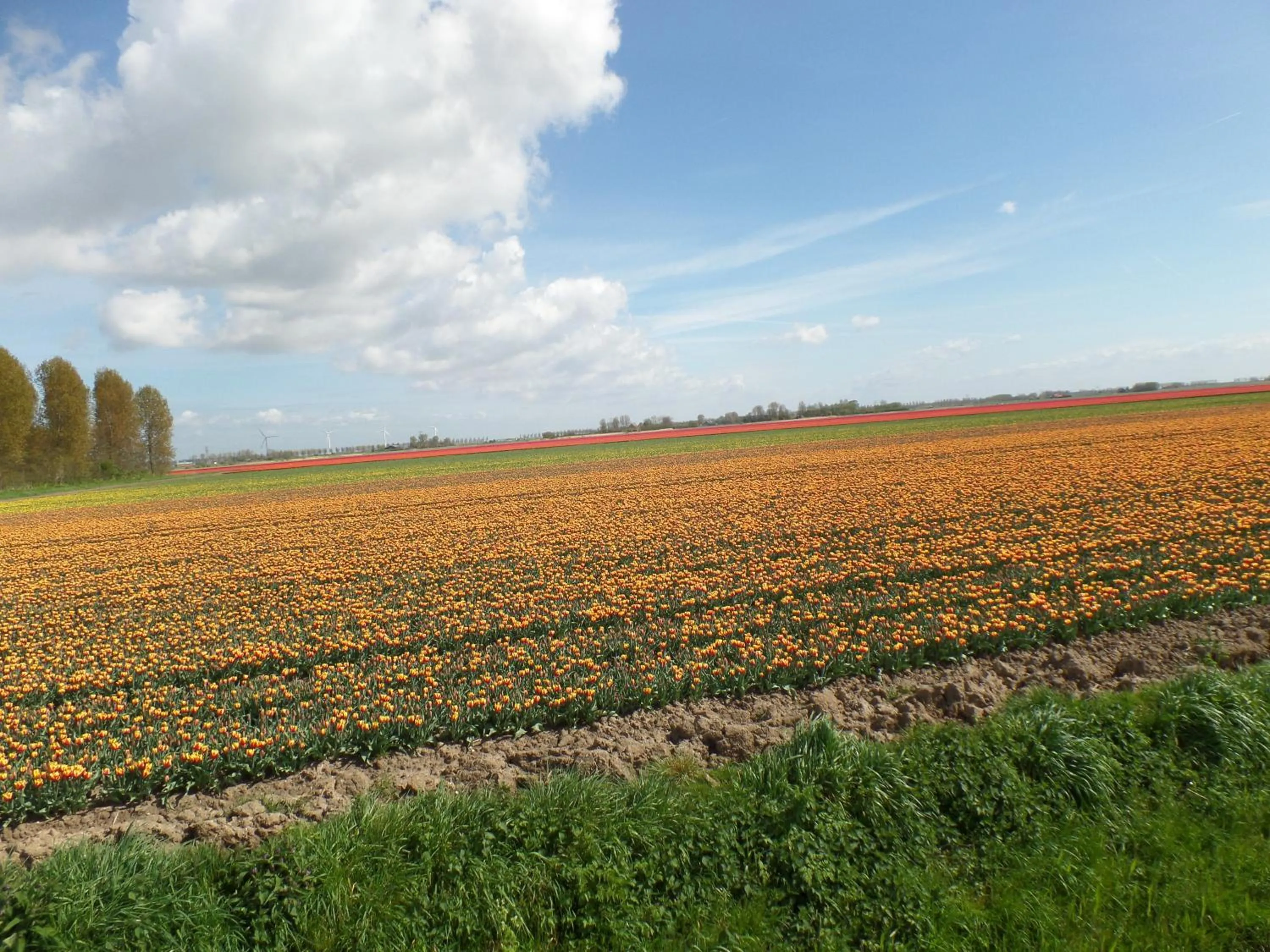 Nearby landmark in Bed en Breakfast en Bike